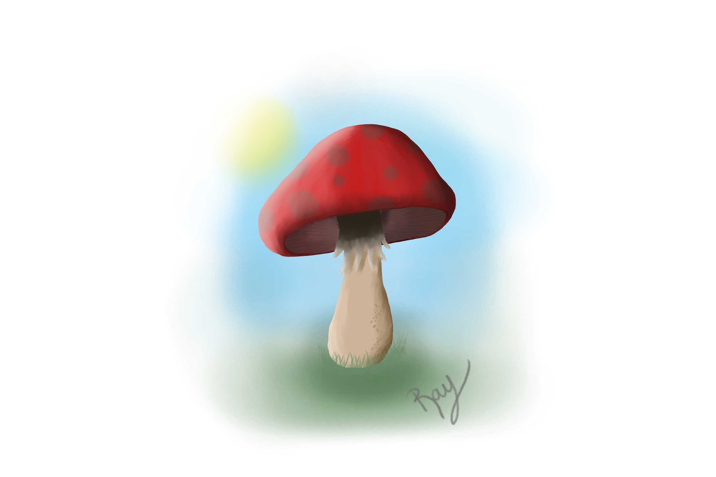 240107_CH0_Exerc1_Mushroom.jpg