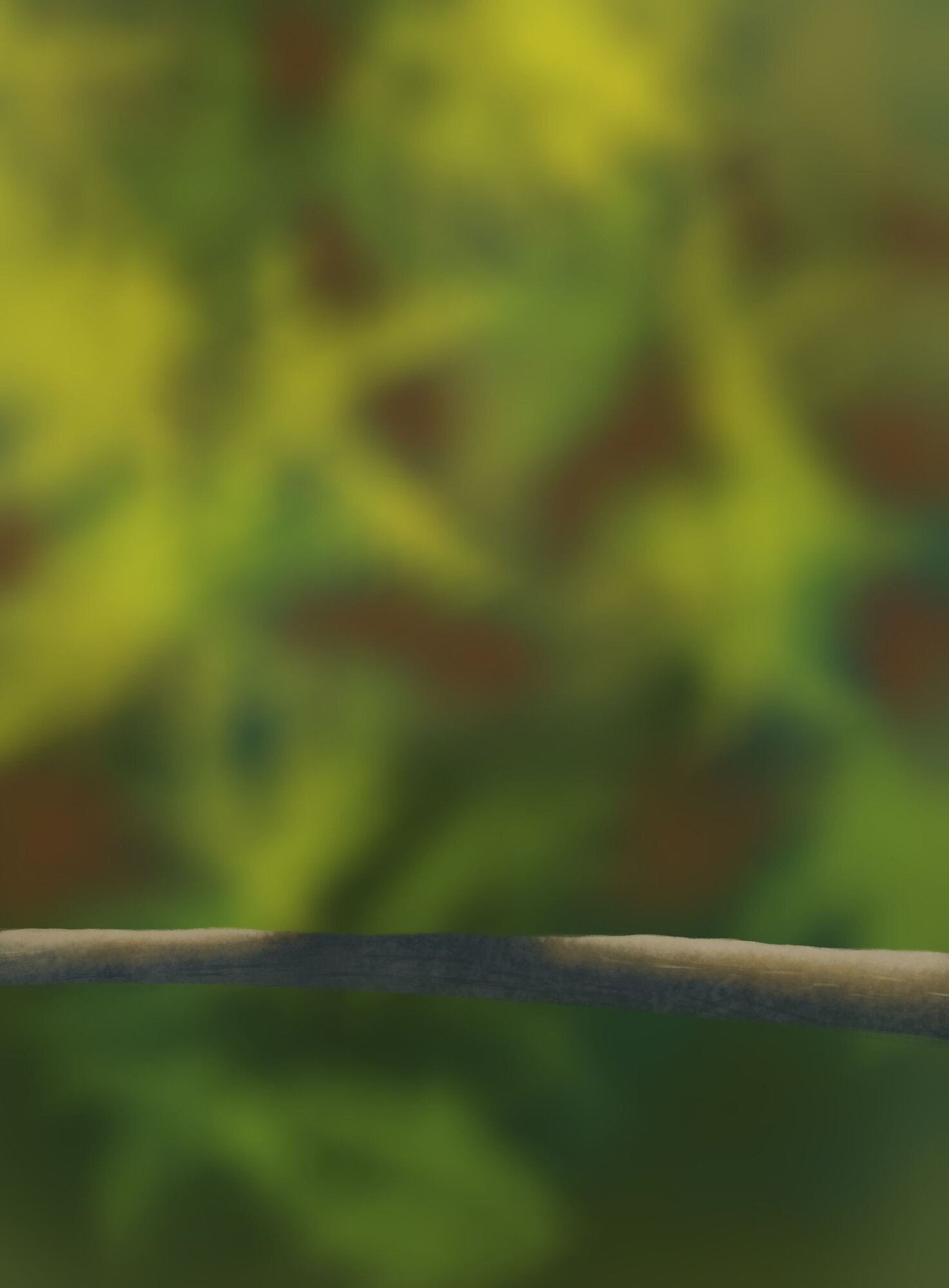 Chapitre 1 - Ecercice 5 - Les oisillons.jpg