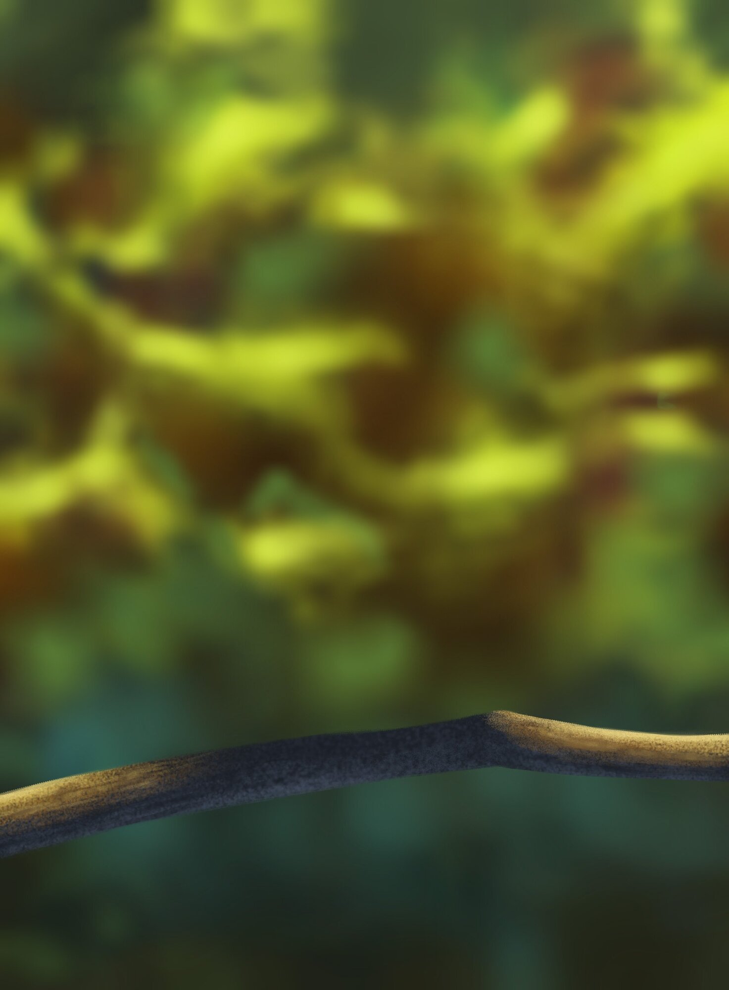 DPS Prog-1-1-Exercice5-Oiseau-Commencement.jpg