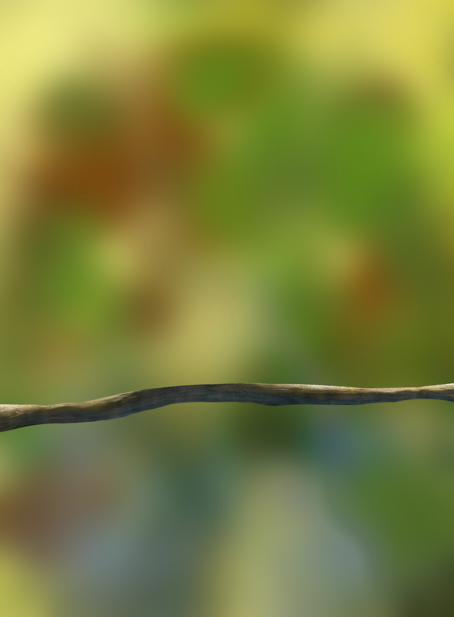 DPS Prog-1-1-Exercice5-Oiseau-Commencement.png