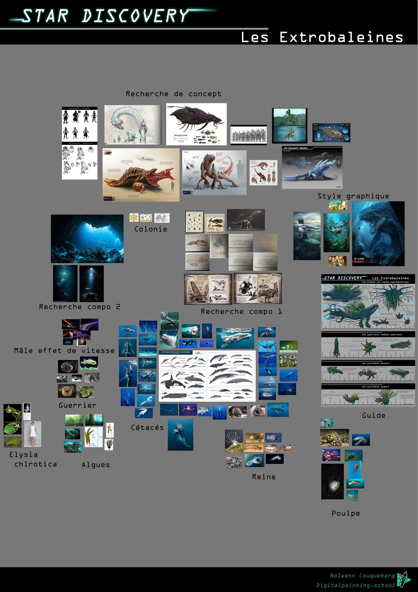 Pure ref amélioré.jpg