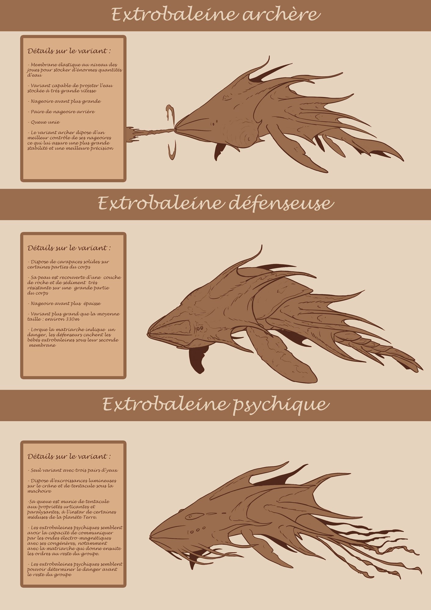 concept_types_dextrobaleines_2.thumb.jpg.95d84bfb12baf280742c9cf3584aba81.jpg