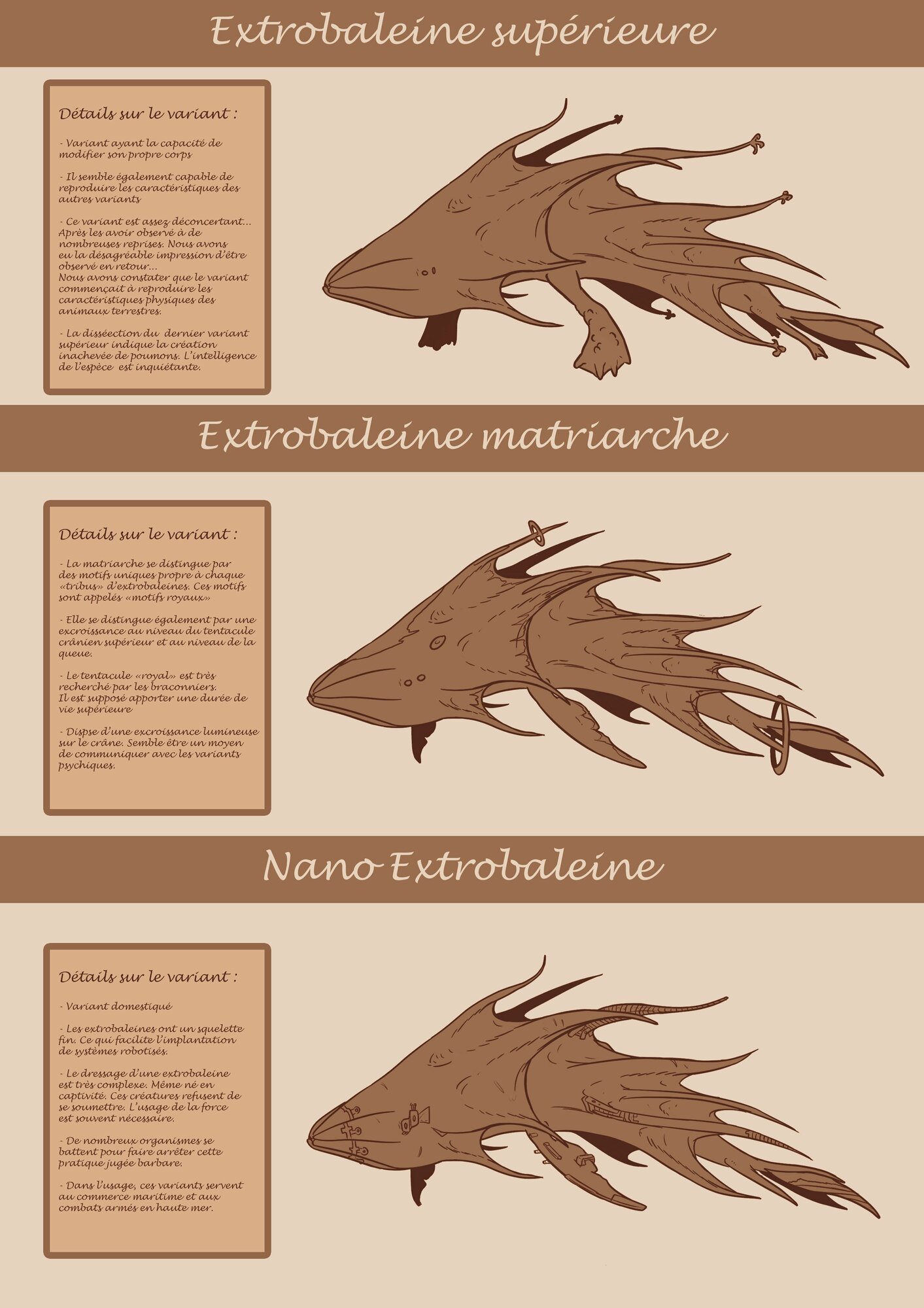 concept_types_dextrobaleines_3.thumb.jpg.54d85fcba5f669b52246ceb39980971b.jpg