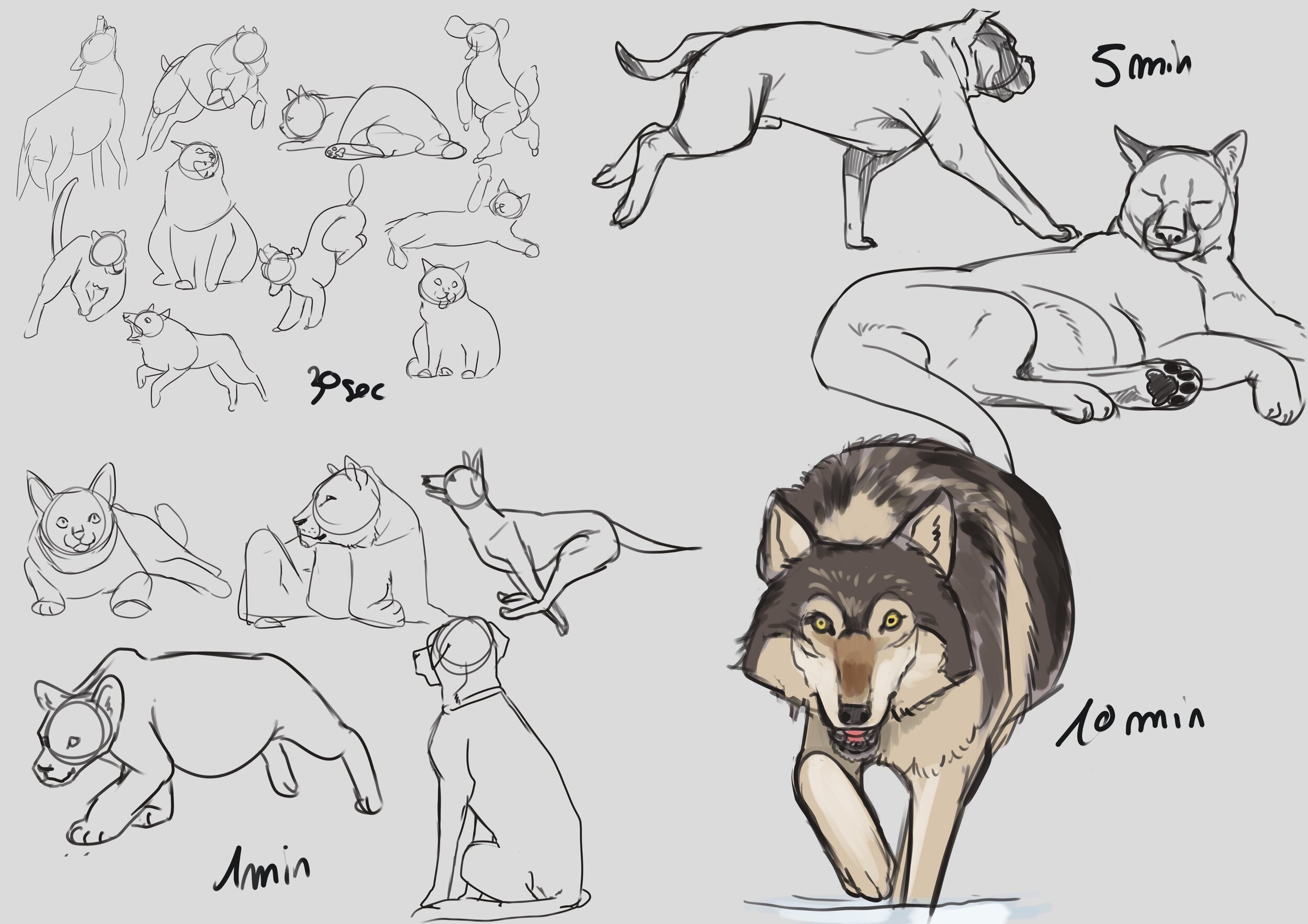 entrainement 10-1-24.jpg