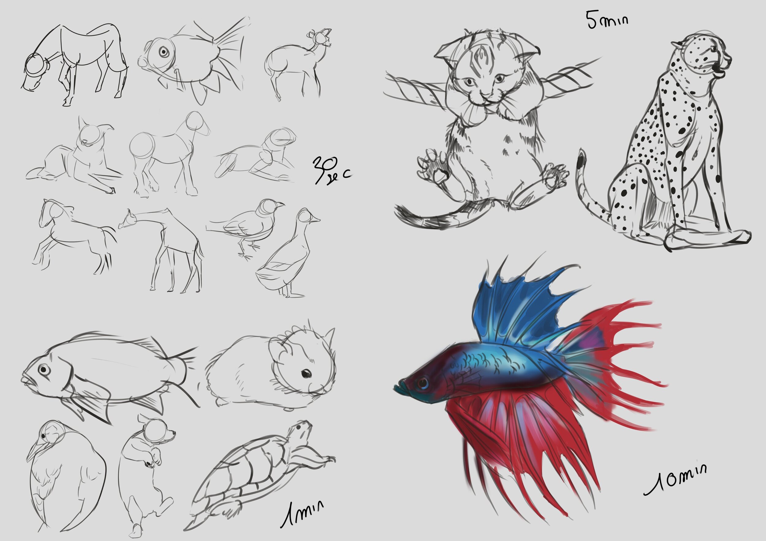 entrainement 5-1-24.jpg