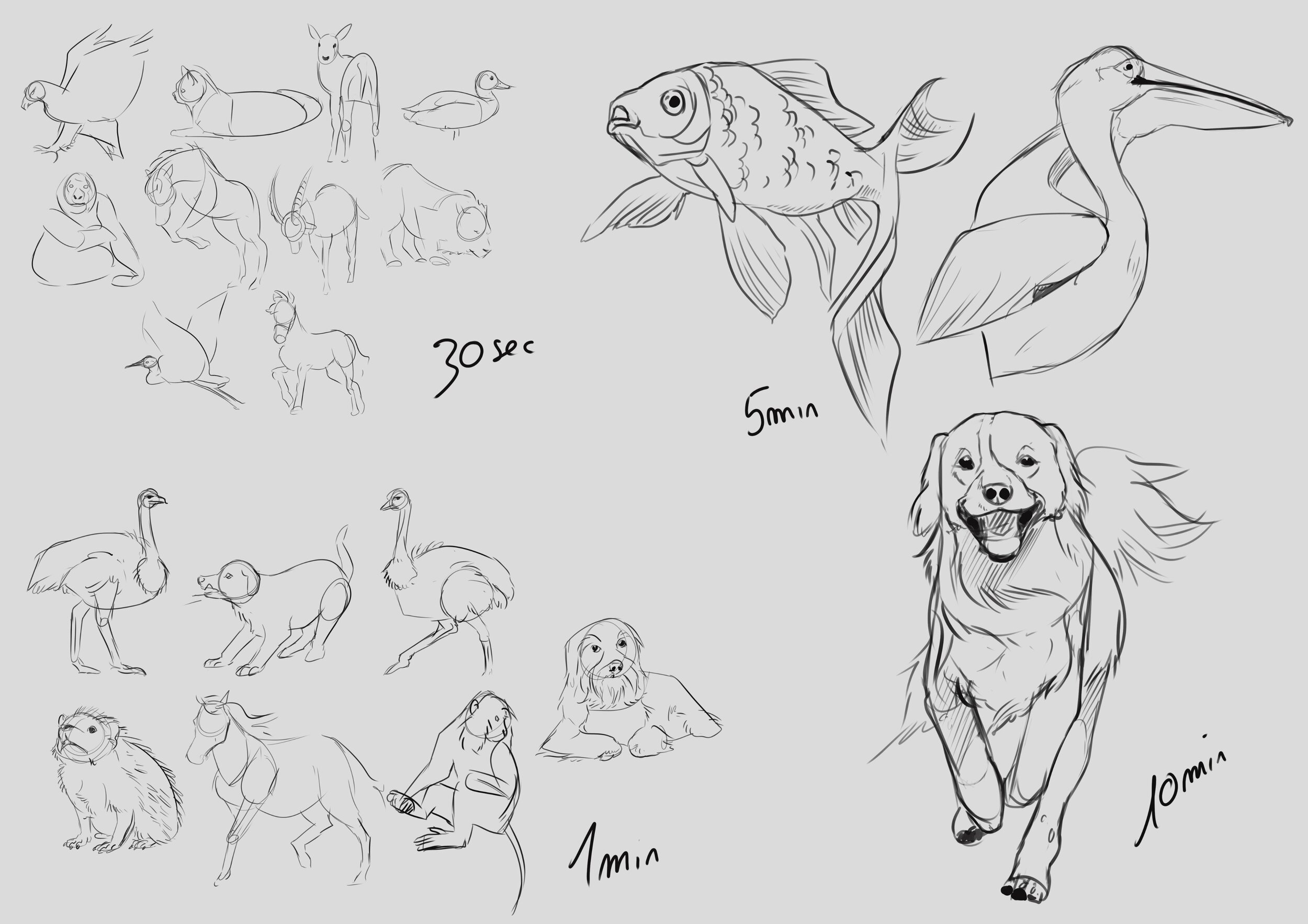 entrainement 6-1-24.jpg