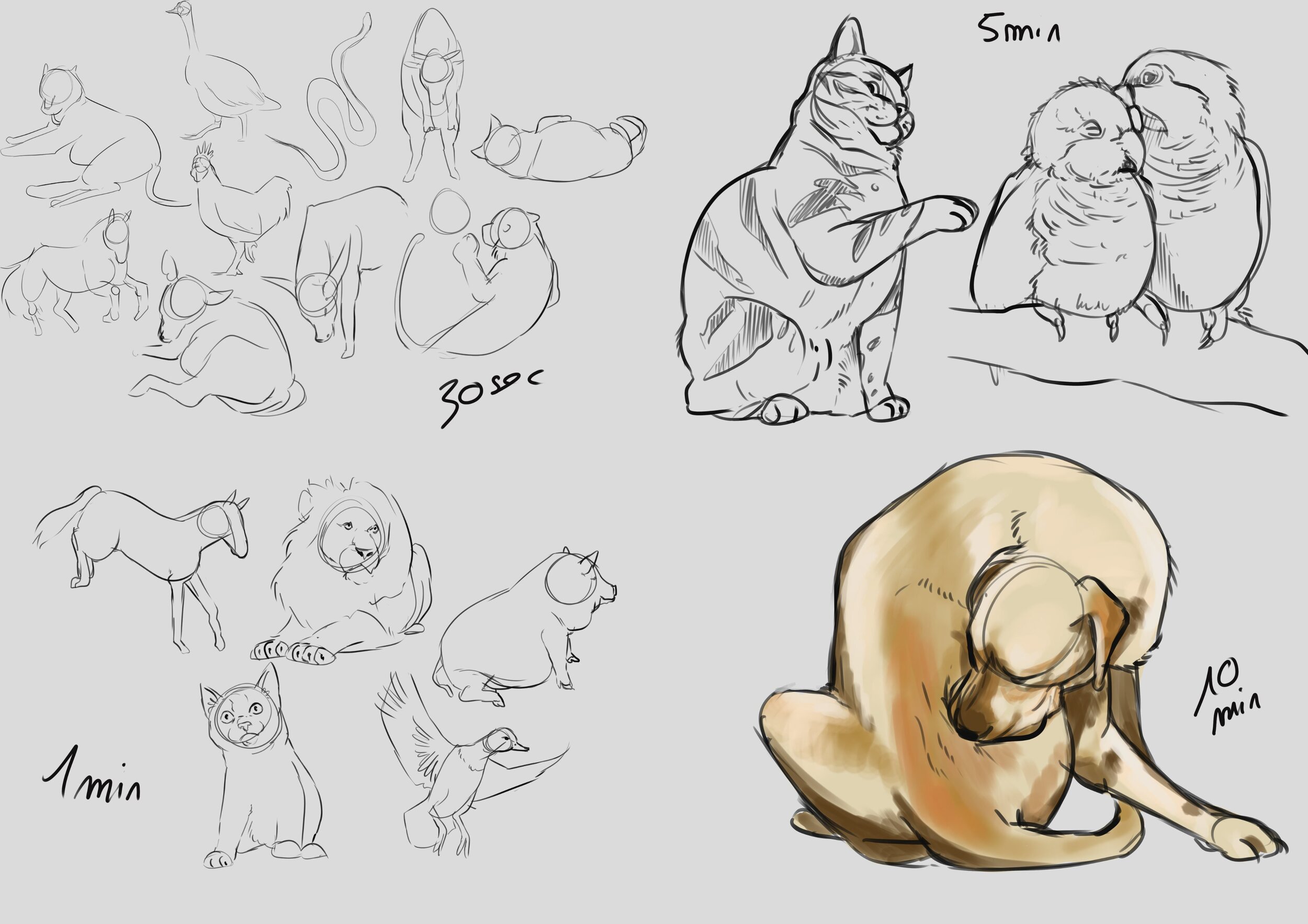 entrainement 7-1-24.jpg