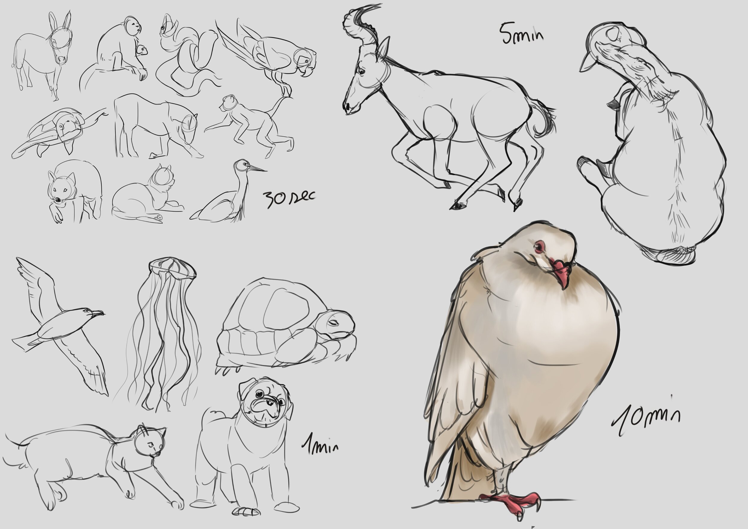 entrainement 9-1-24.jpg