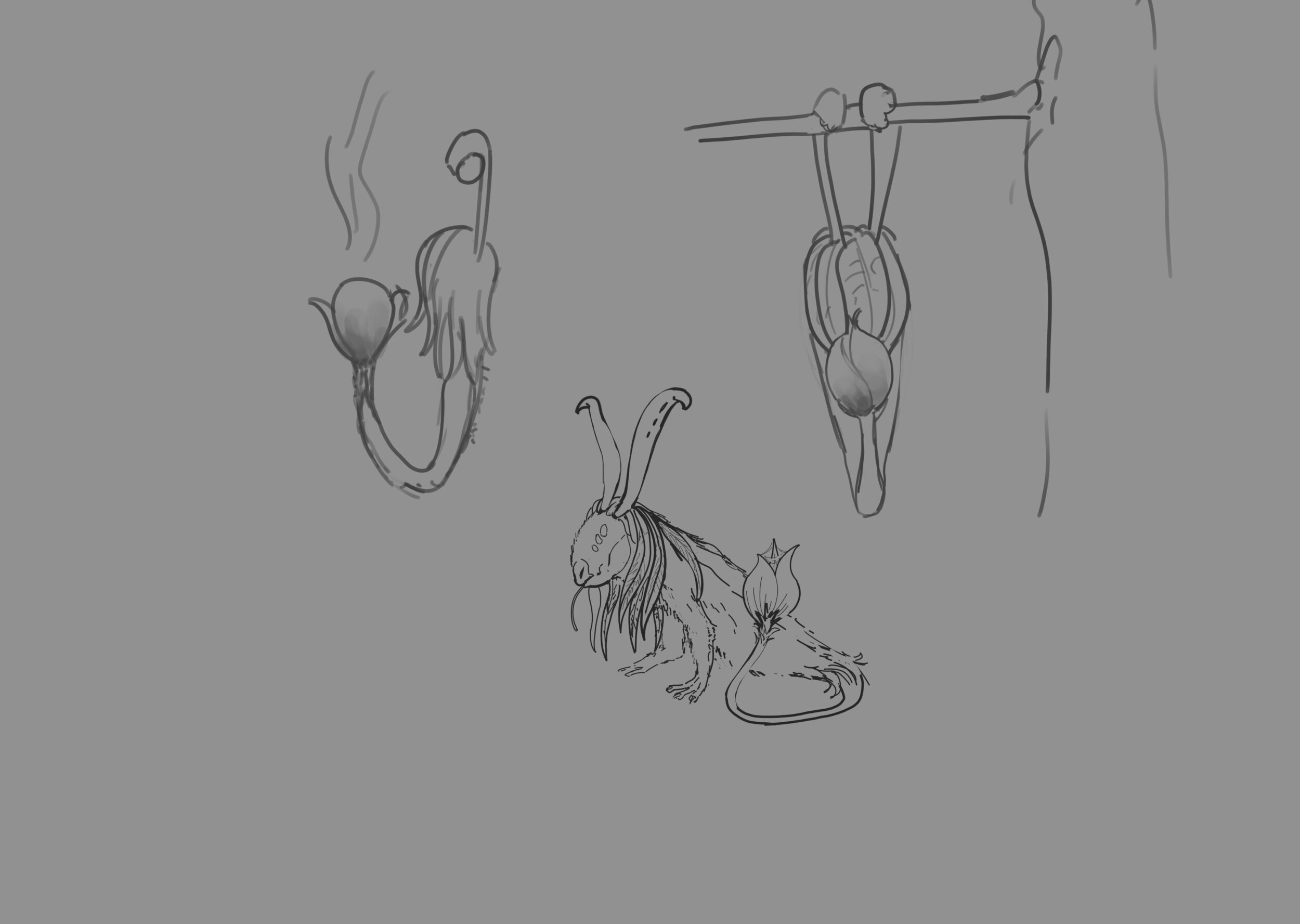 filacé premiere idéee.jpg