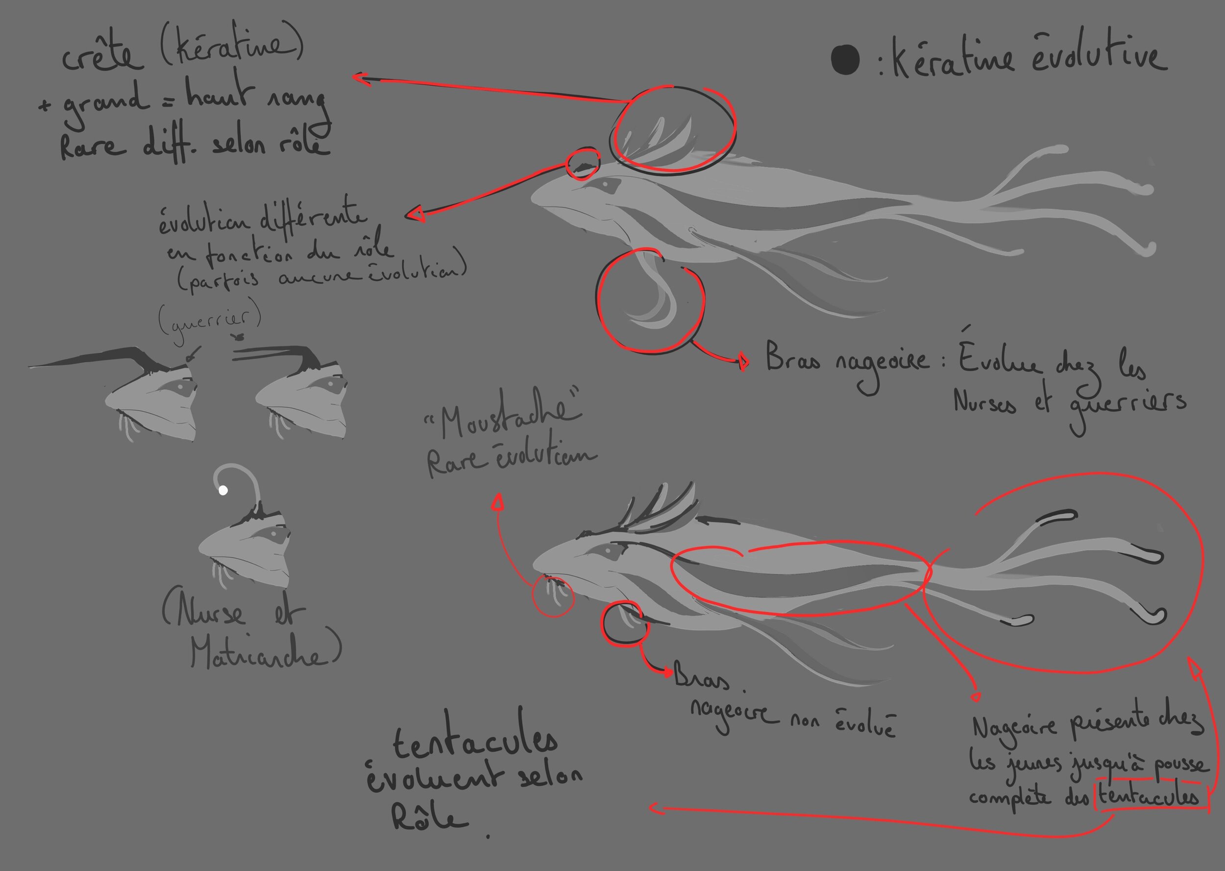 infos évolution.jpg