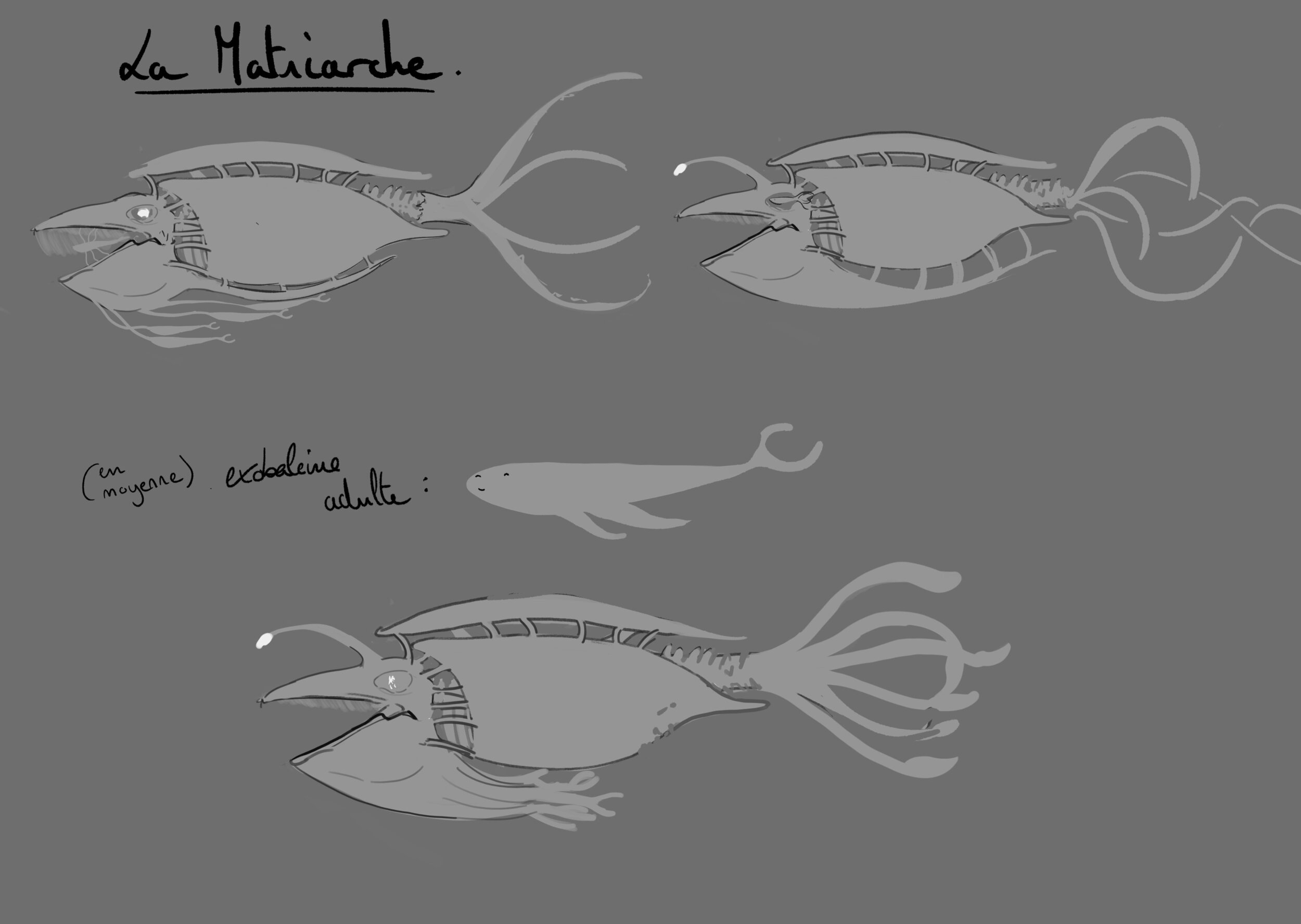 matriarche recherche.jpg