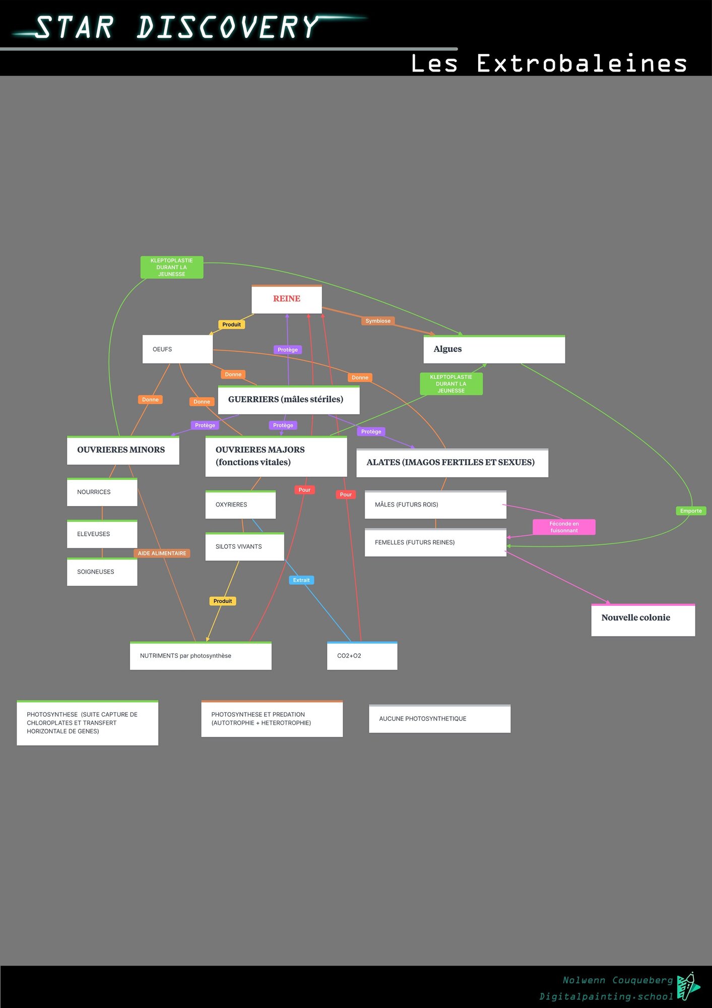 milanote diagramme fonctionnement colonie d'extrobaleines.jpg
