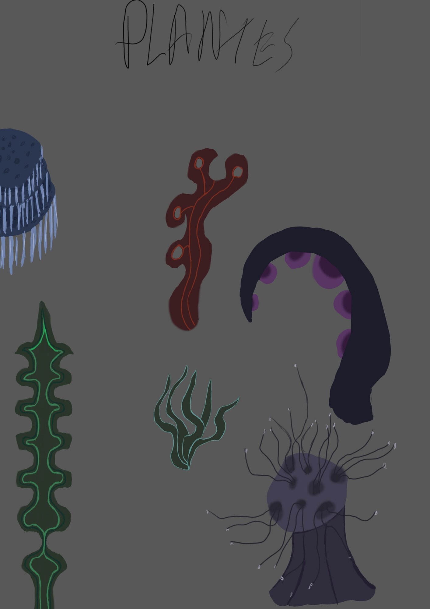 plante recherche .jpg