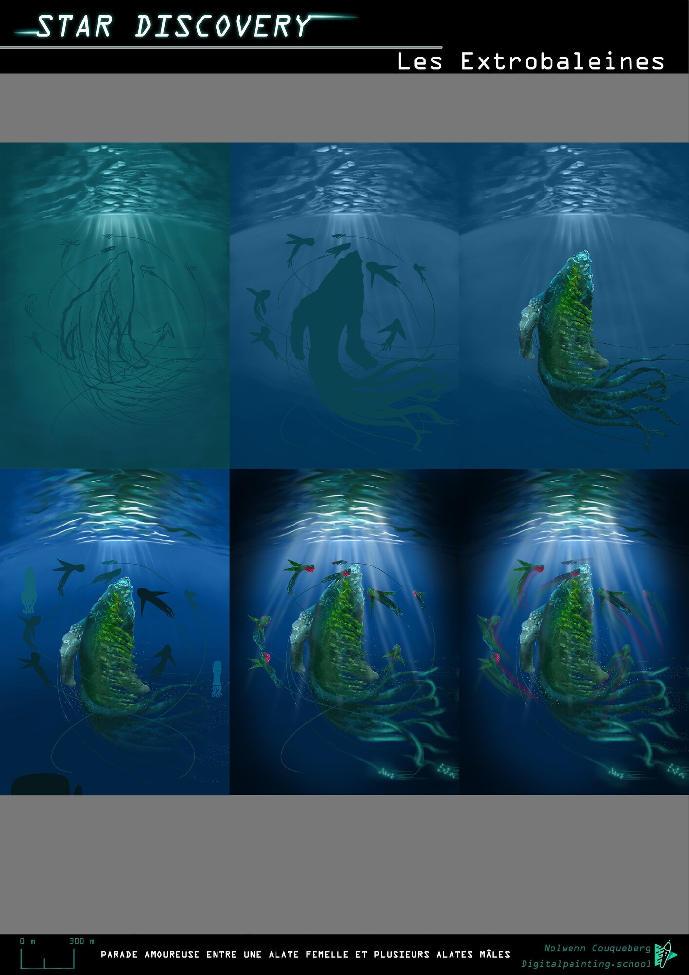 étapes alatate femelle.jpg