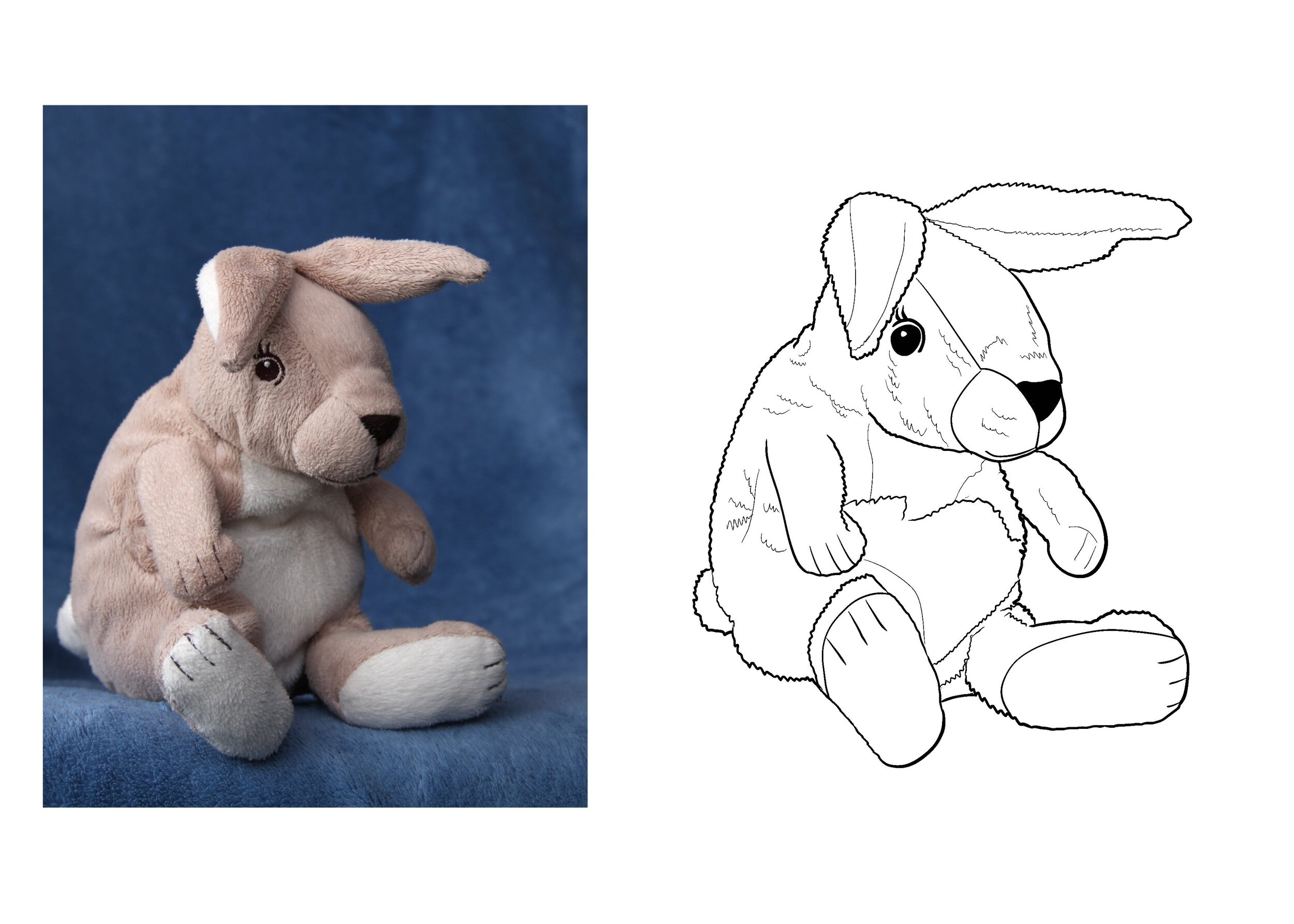 Chap 2 Exo 5 Lapin.jpg