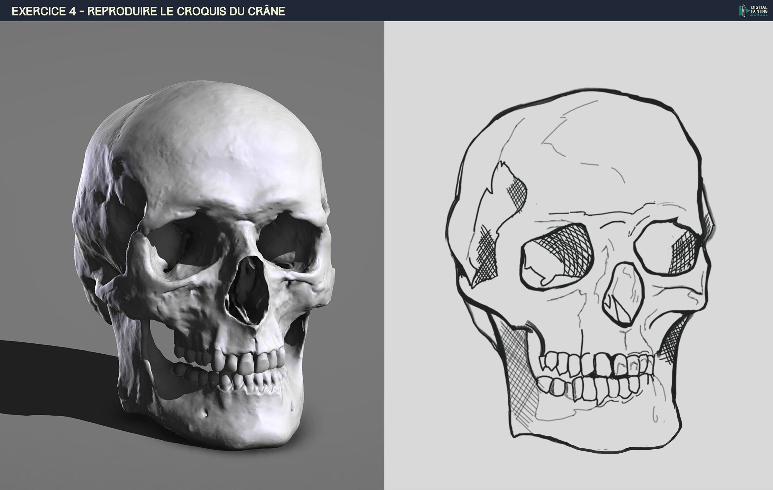 DPS-Prog-1-2-2-dÇmo-crane-croquis copie.jpg