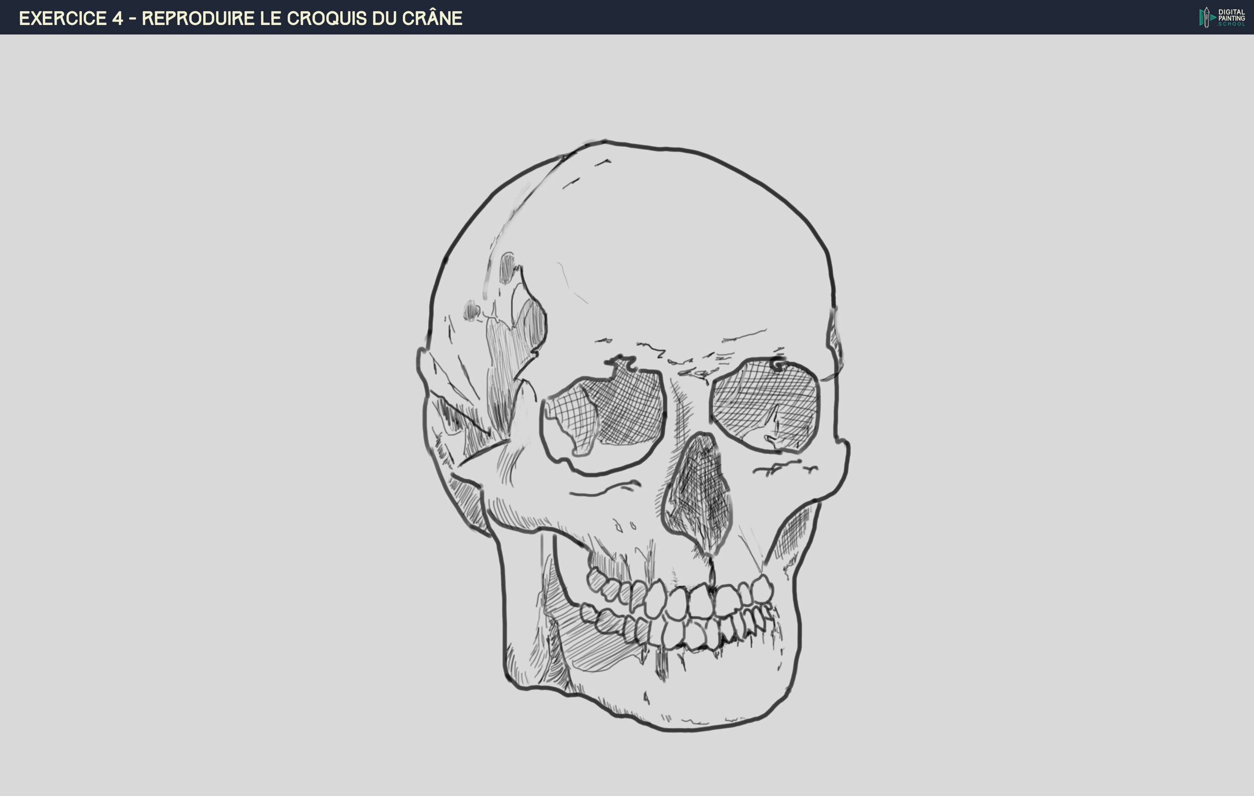 DPS-Prog-1-2-2-démo-crane-croquis correction.jpg