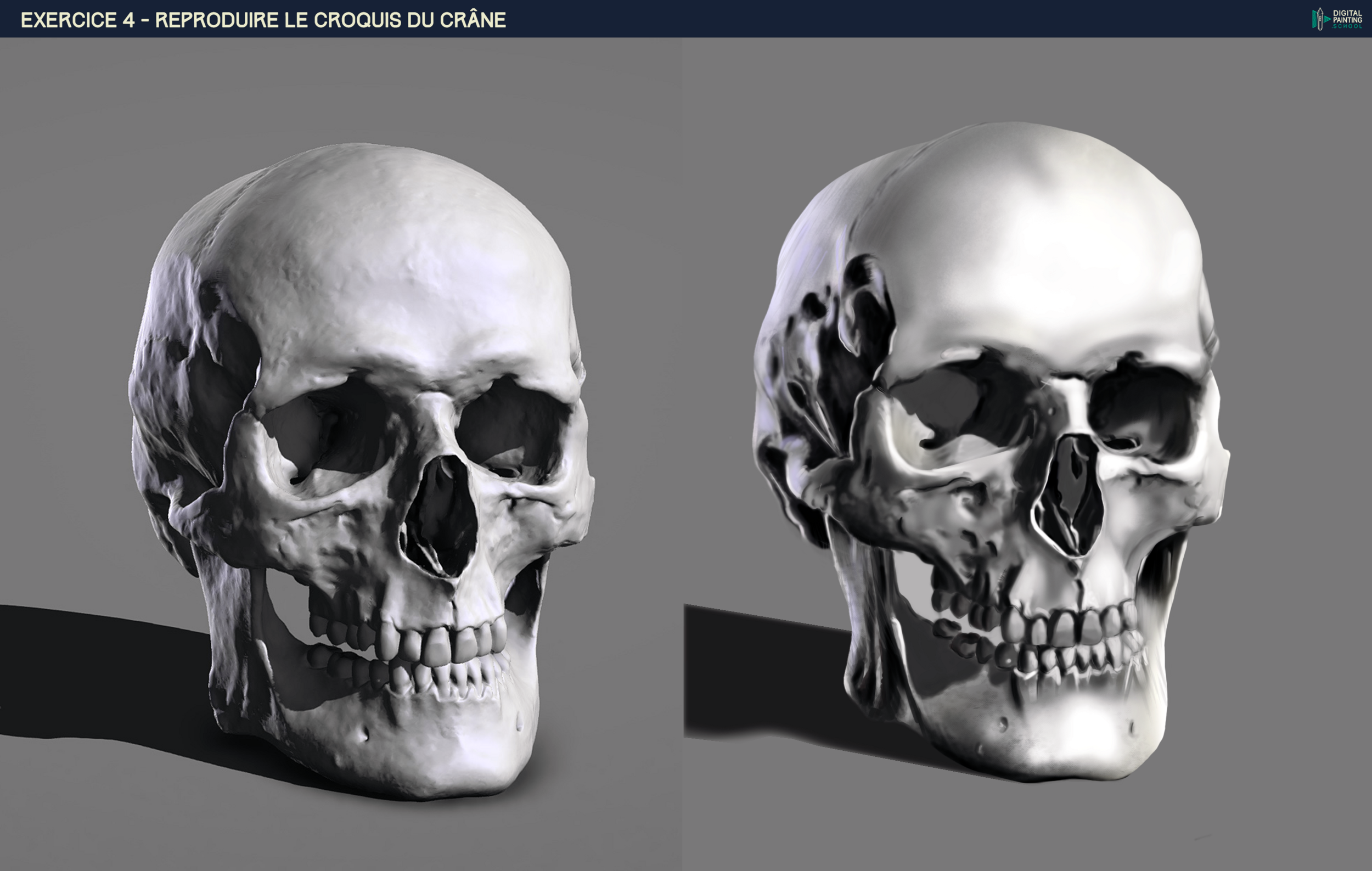 DPS-Prog-1-2-2-démo-crane-croquis ju paint.png