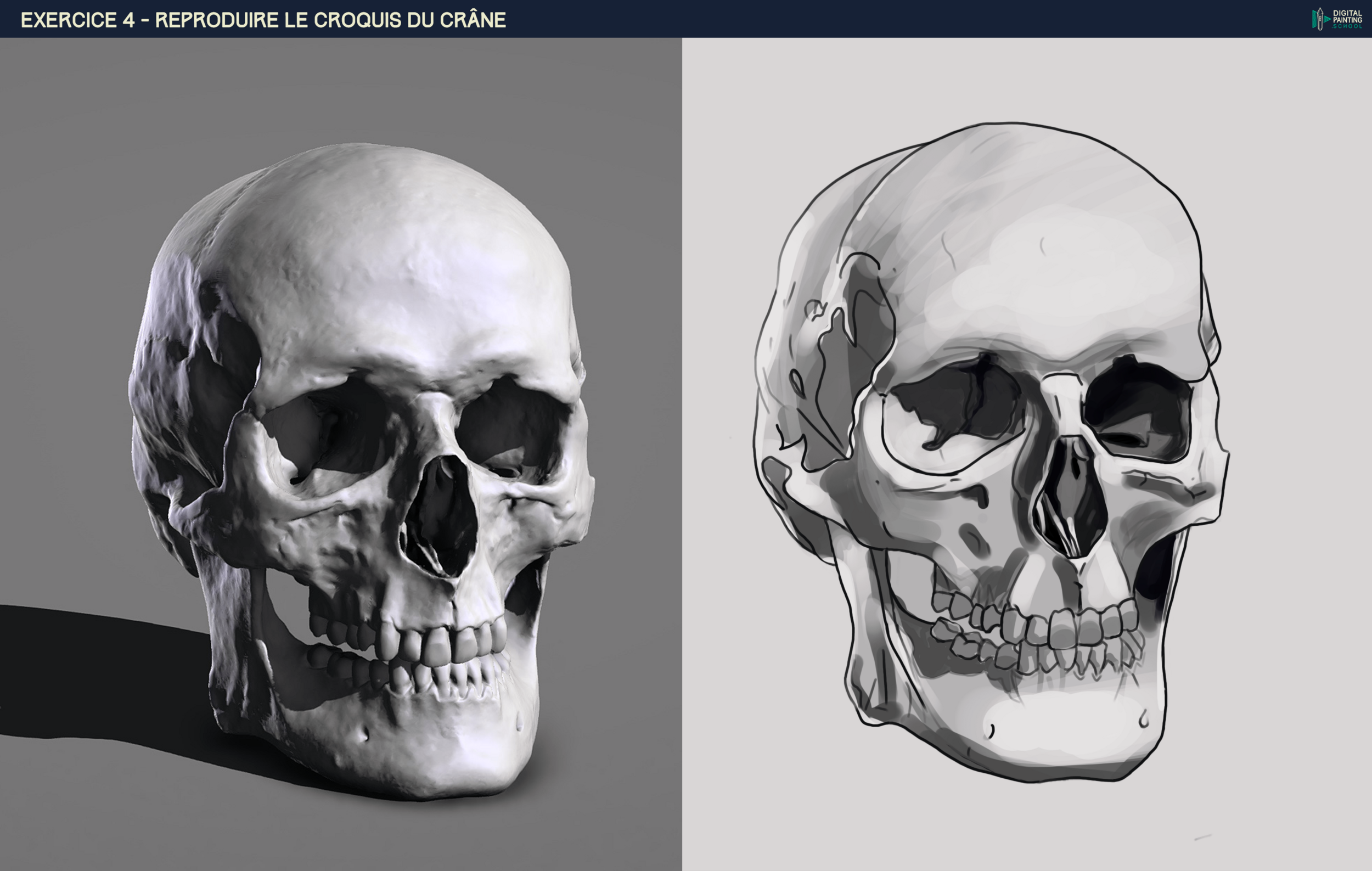 DPS-Prog-1-2-2-démo-crane-croquis ju part4.2.png