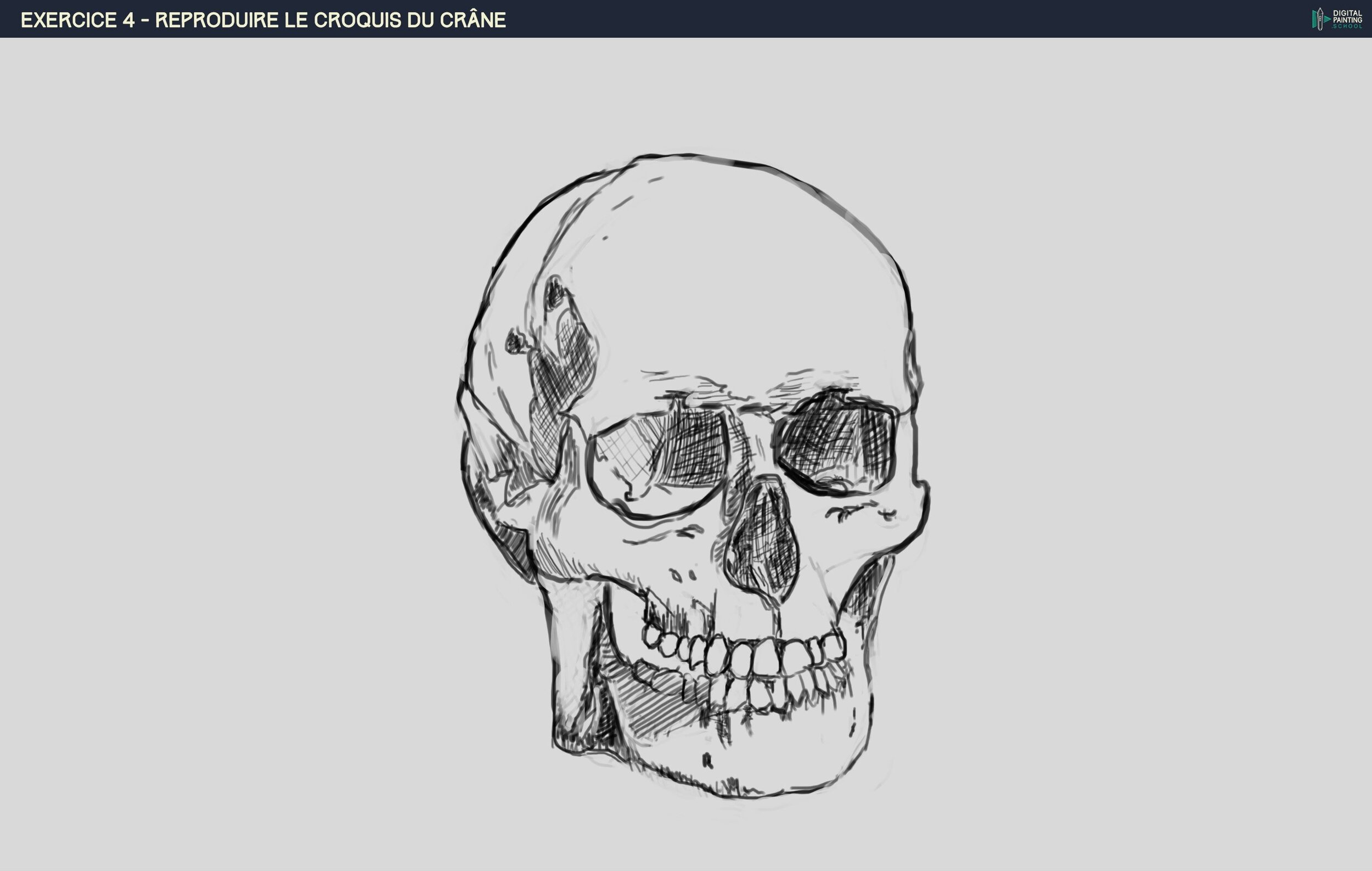 DPS-Prog-1-2-2-démo-crane-croquis ok1.jpg