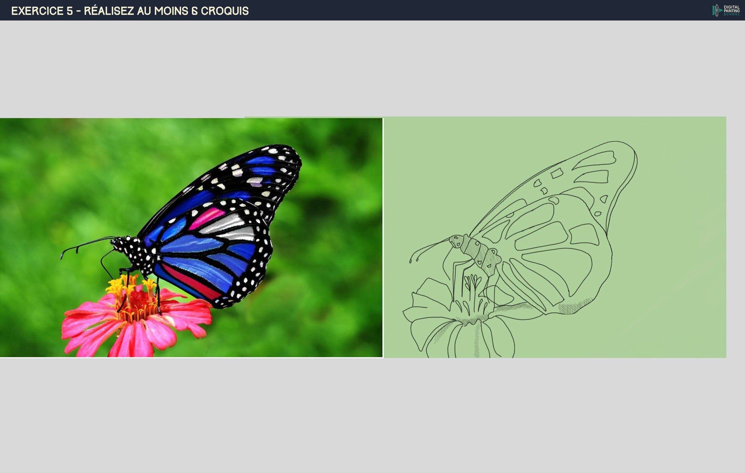 DPS-Prog-1-2-exercice5 copie.jpg