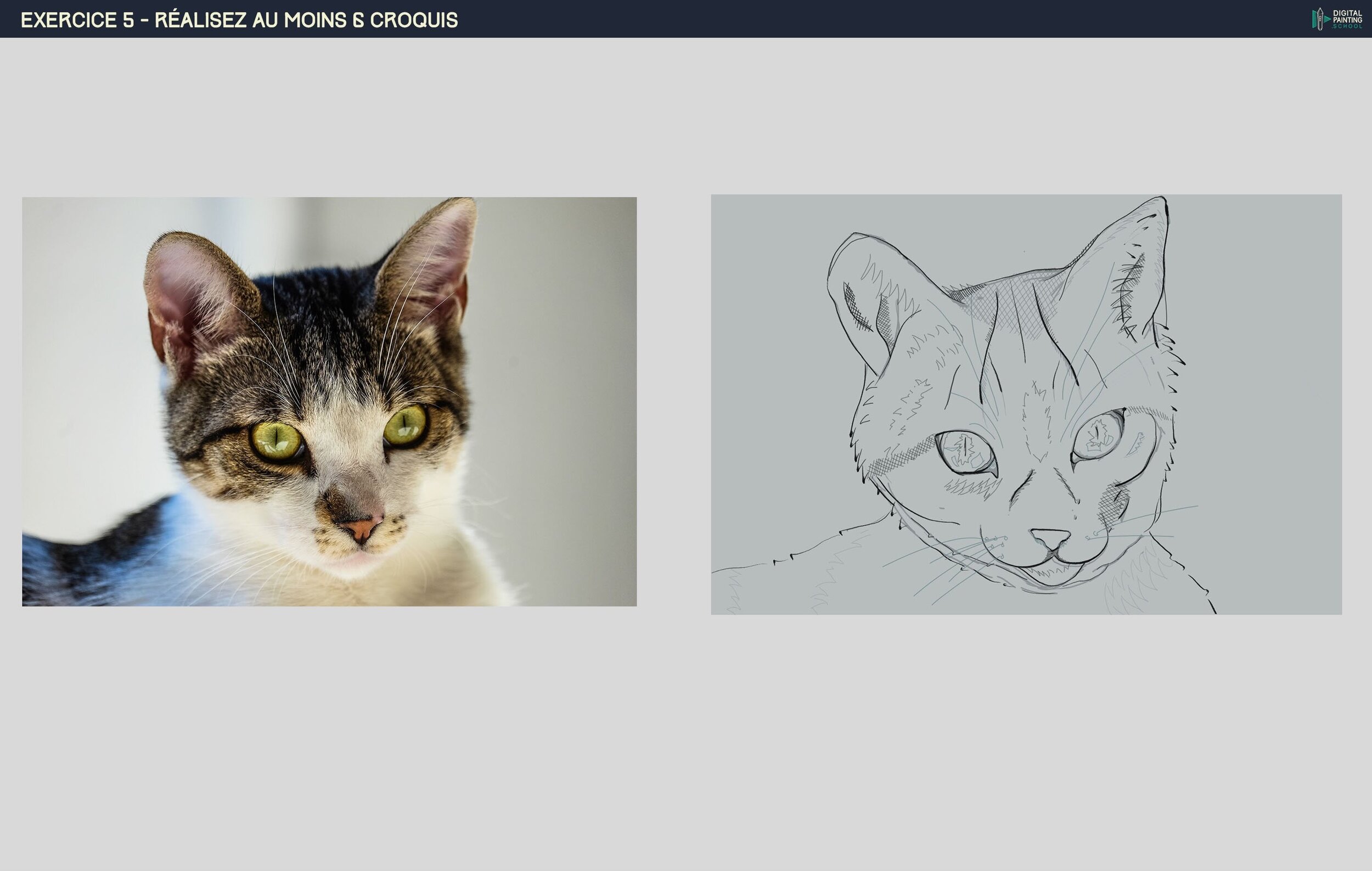 DPS-Prog-1-2-exercice5 copie.jpg