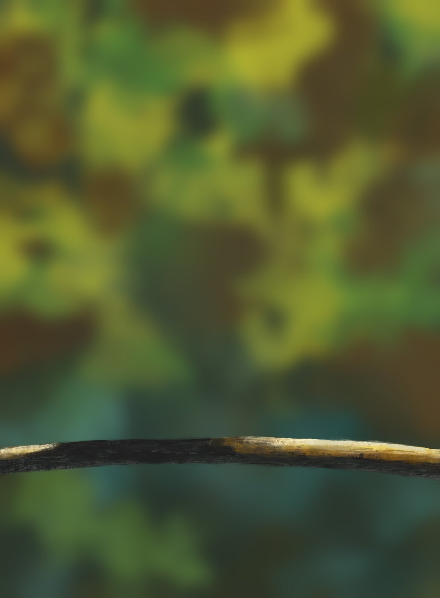 DPS Prog-1-1-Exercice5-Oiseau-Commencement correction.jpg