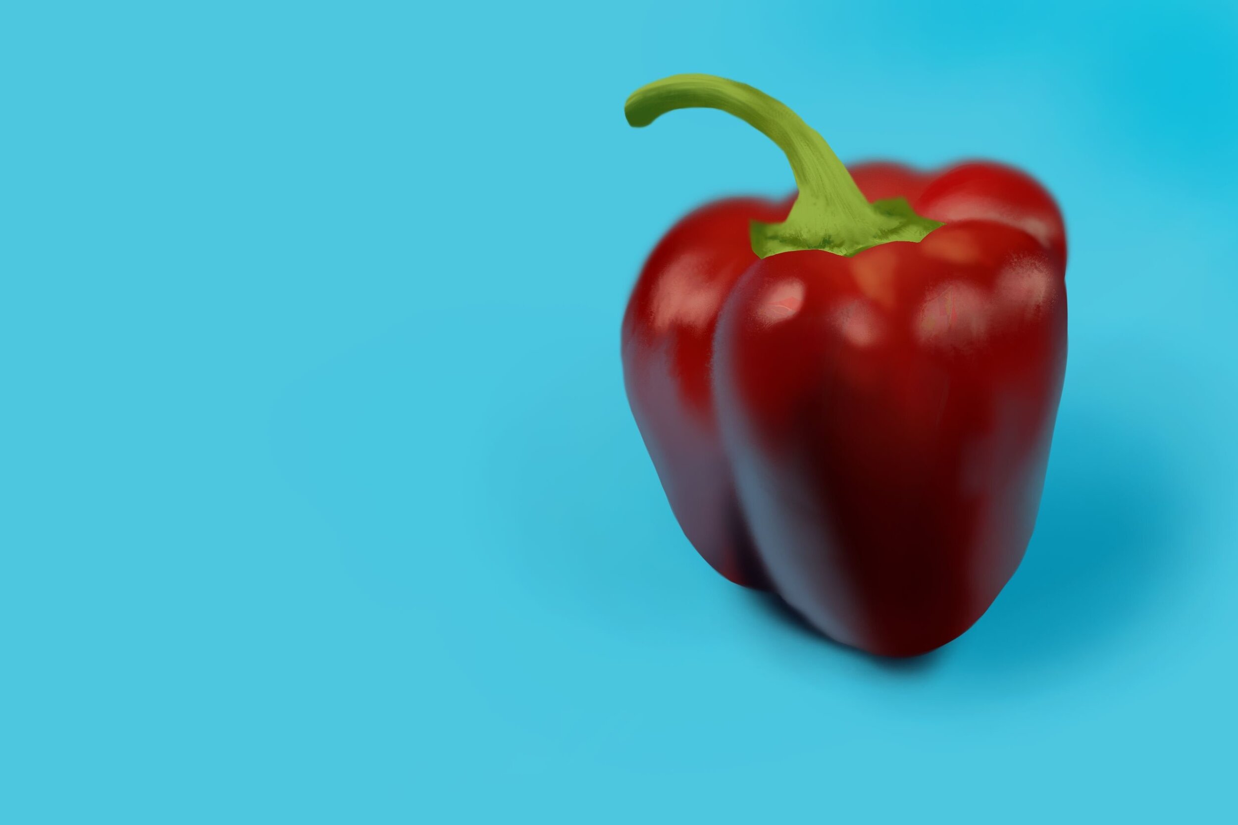 Exercice4-etude-photo1 fini.jpg