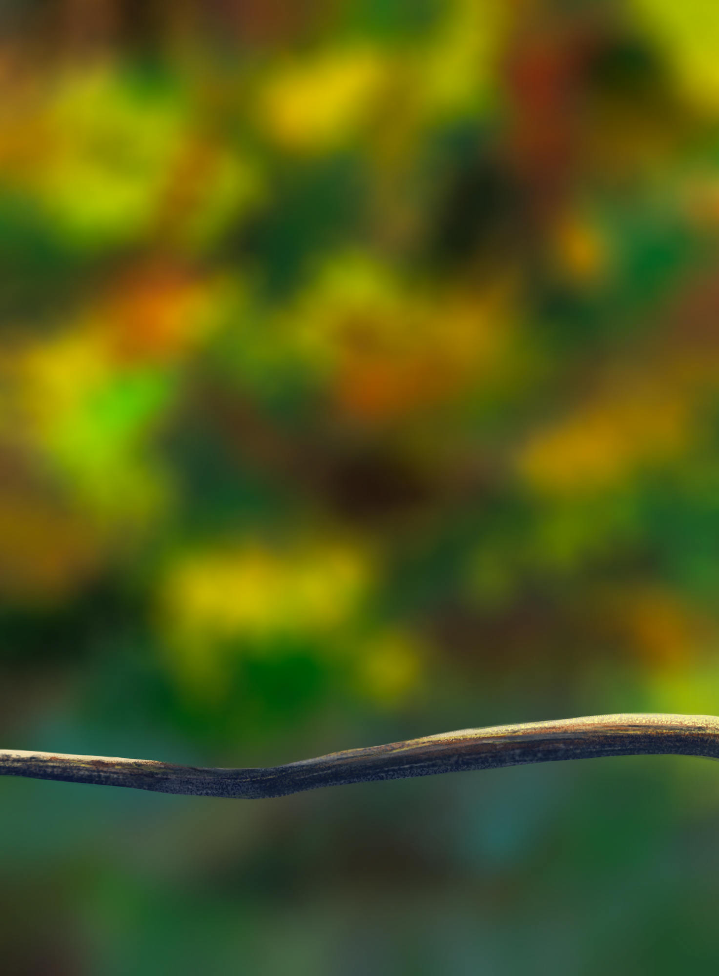 Fichier 1  oisillon.png