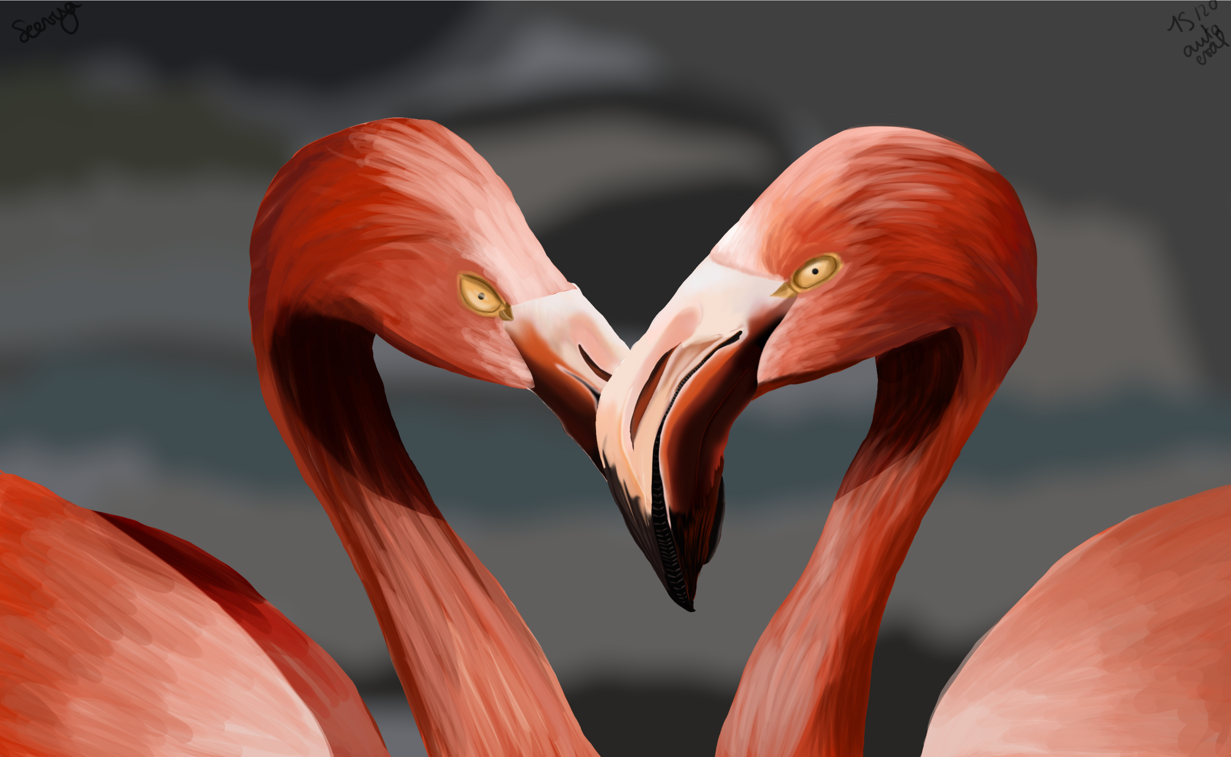 Flamment rose.png