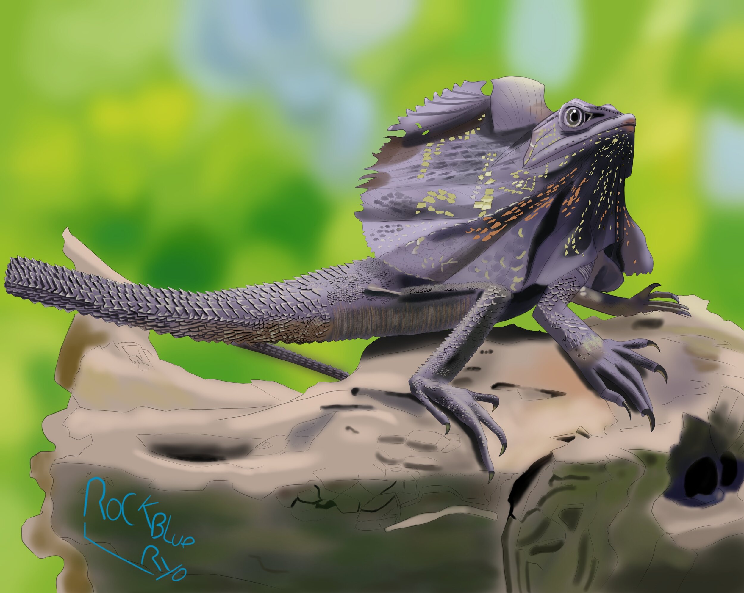 Lezard a colorette.jpg