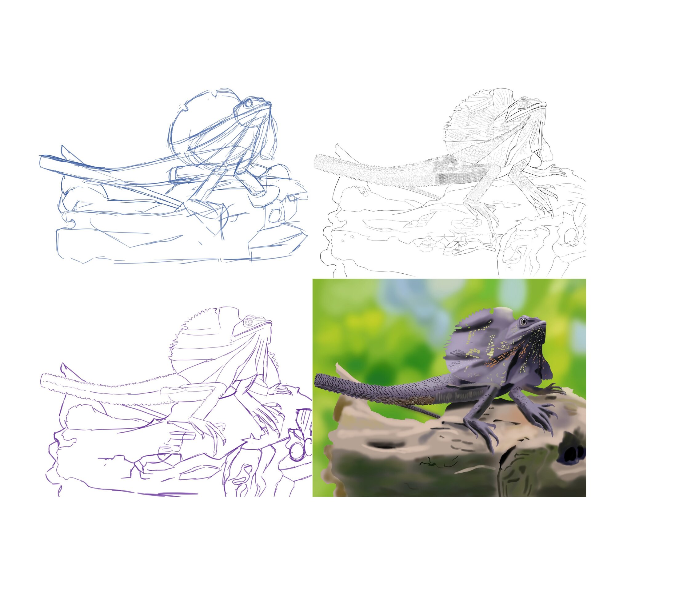 Lezard etape rendu mineur.jpg