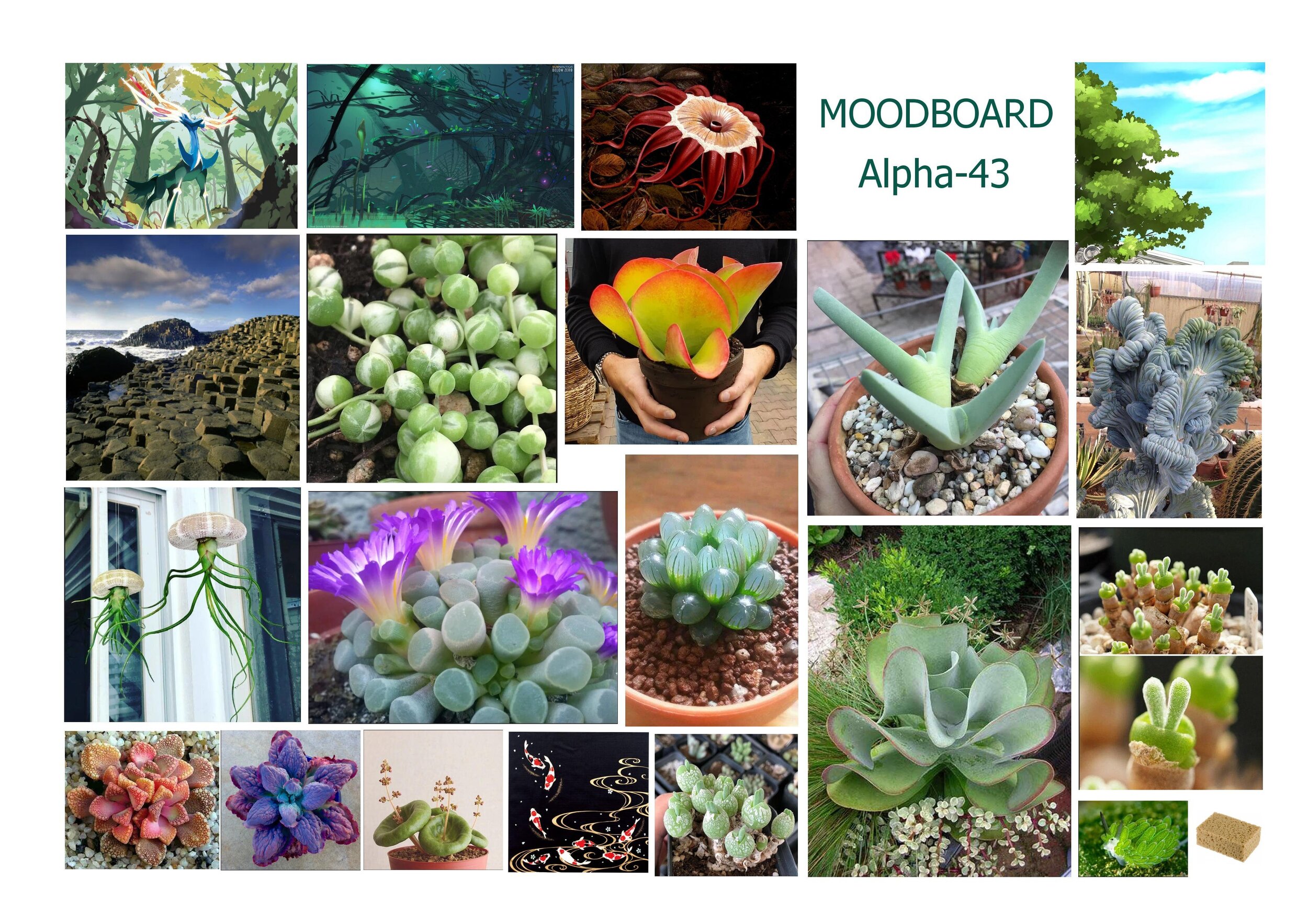 Moodboard.jpg