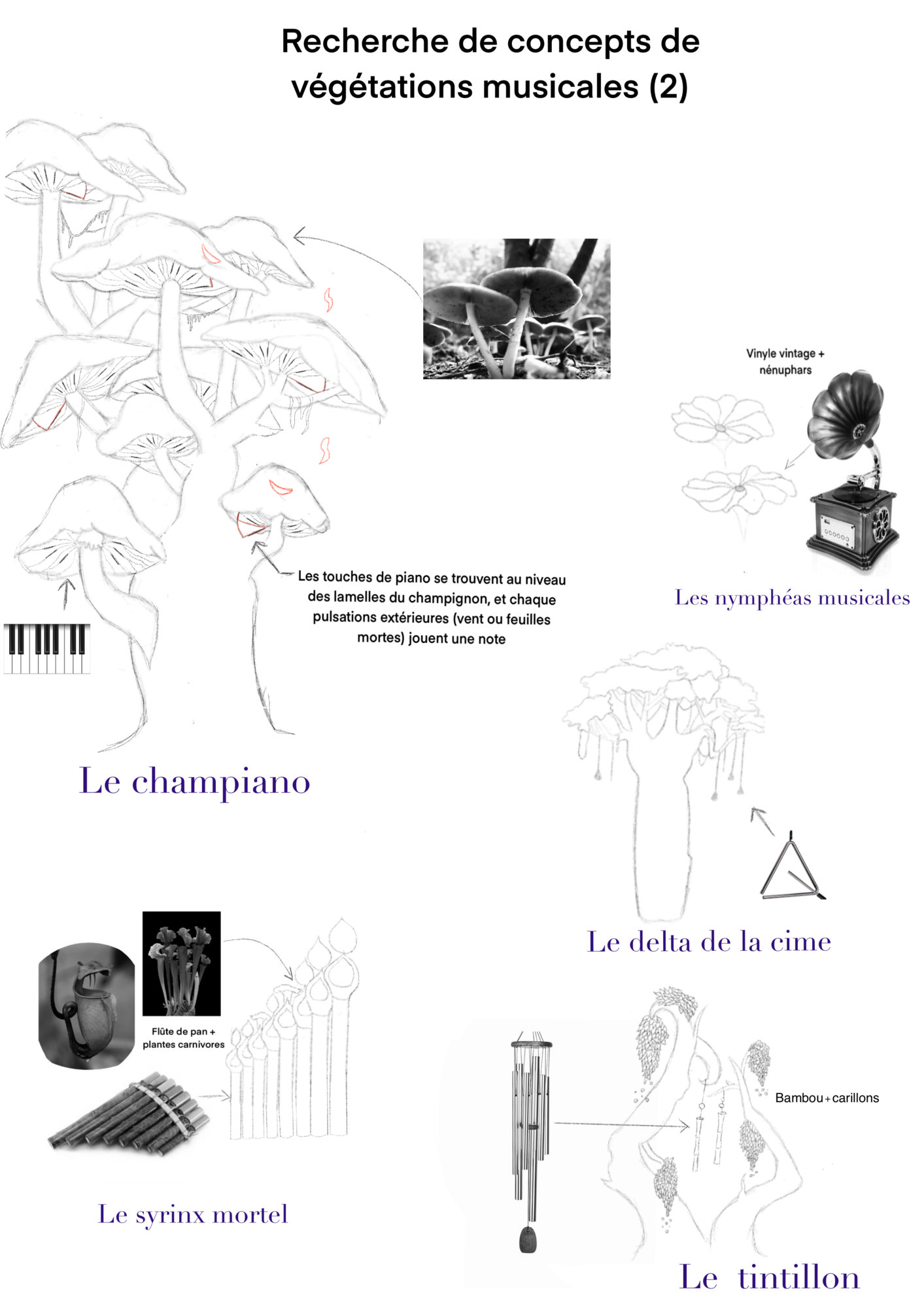 Recherche_De_Concepts_De_Vegetations_Musicales_2.thumb.png.e2251326d7ab5aa602fc23795b3edac1.png
