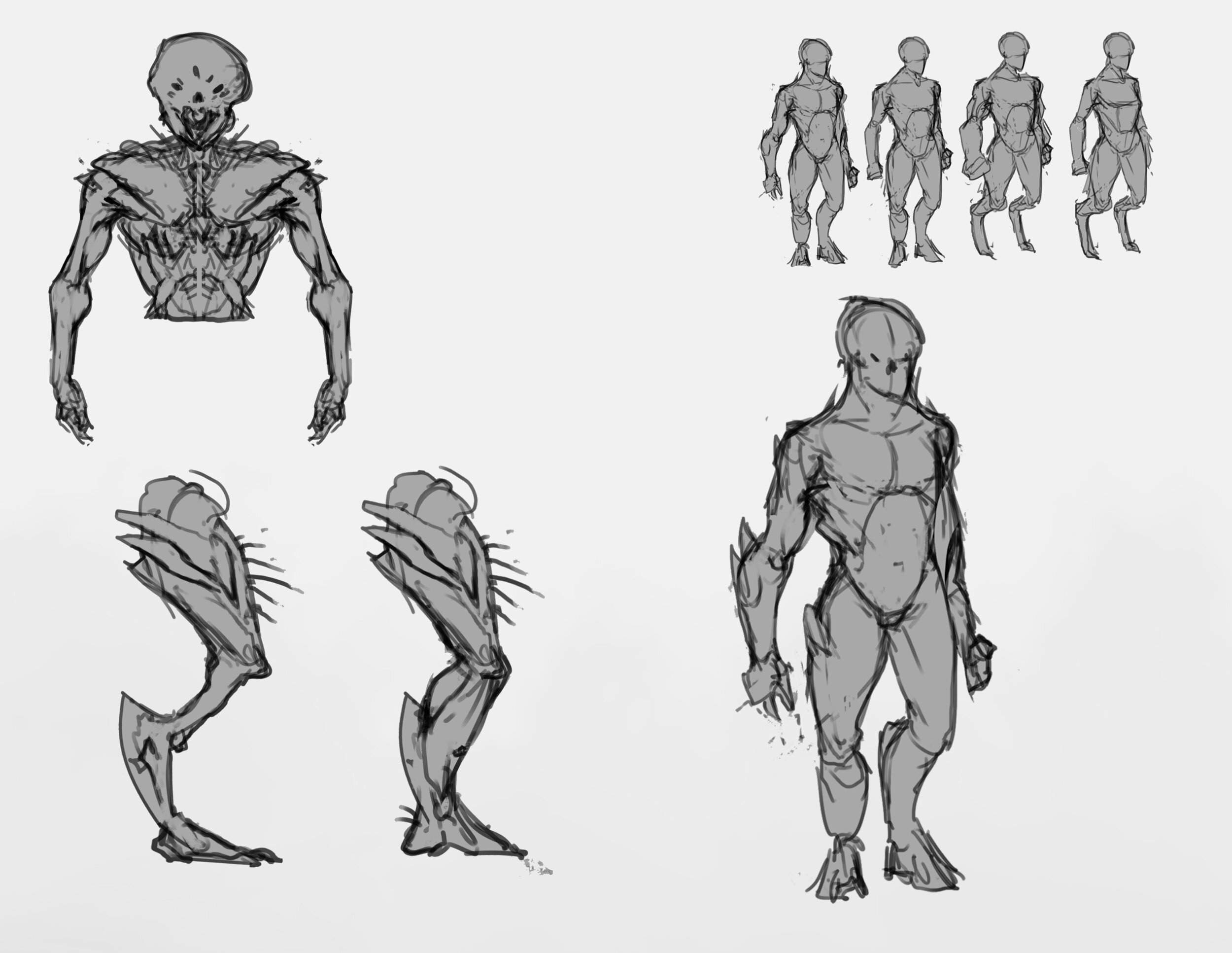 Sketchalienanatomy.thumb.jpg.0e5a8c6b84fc1fb629be581f9a761ee8.jpg