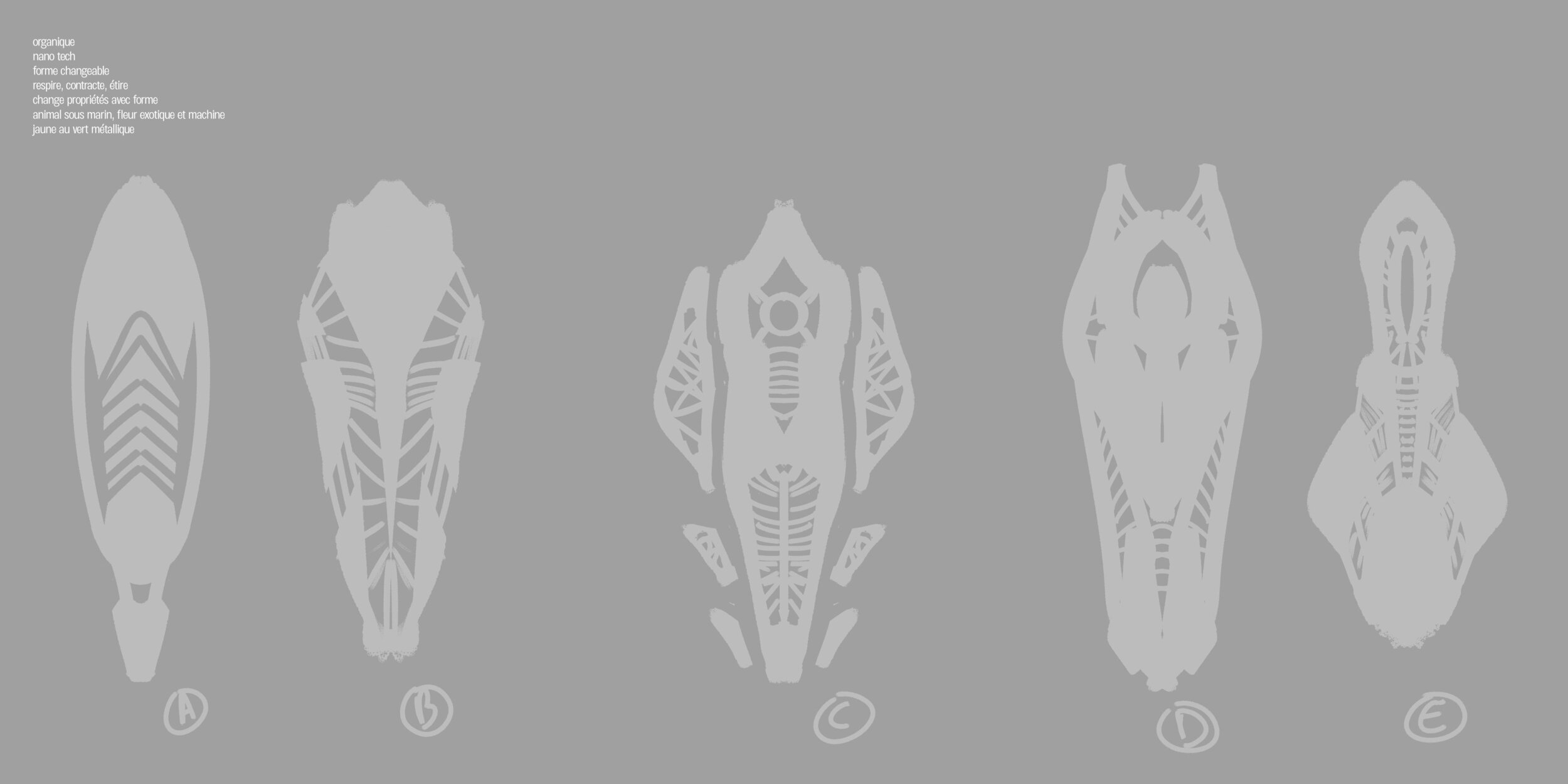 Vaisseau Vteros 01.jpg