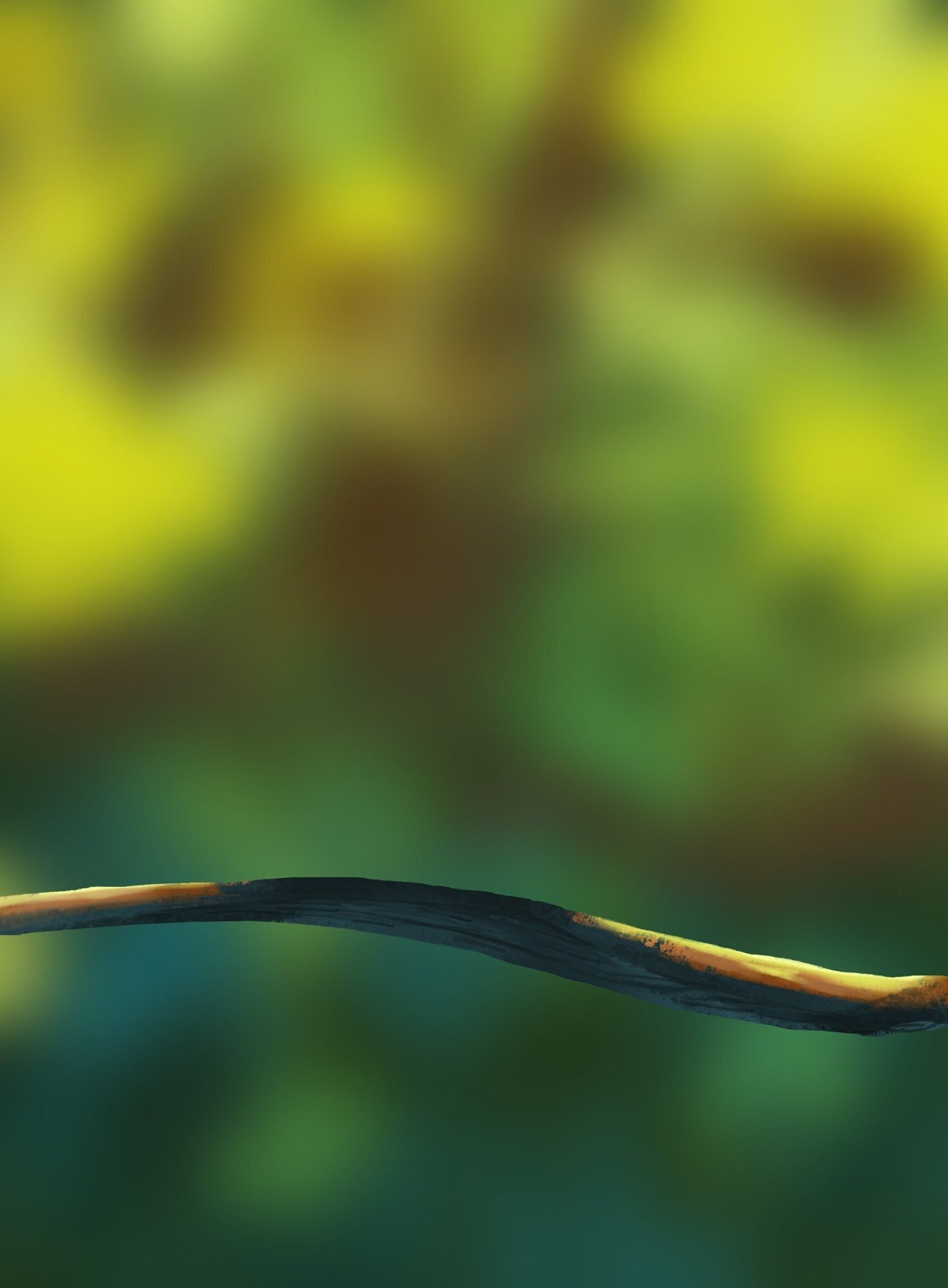 illustration des oisillon dps exericice 5 small.jpg