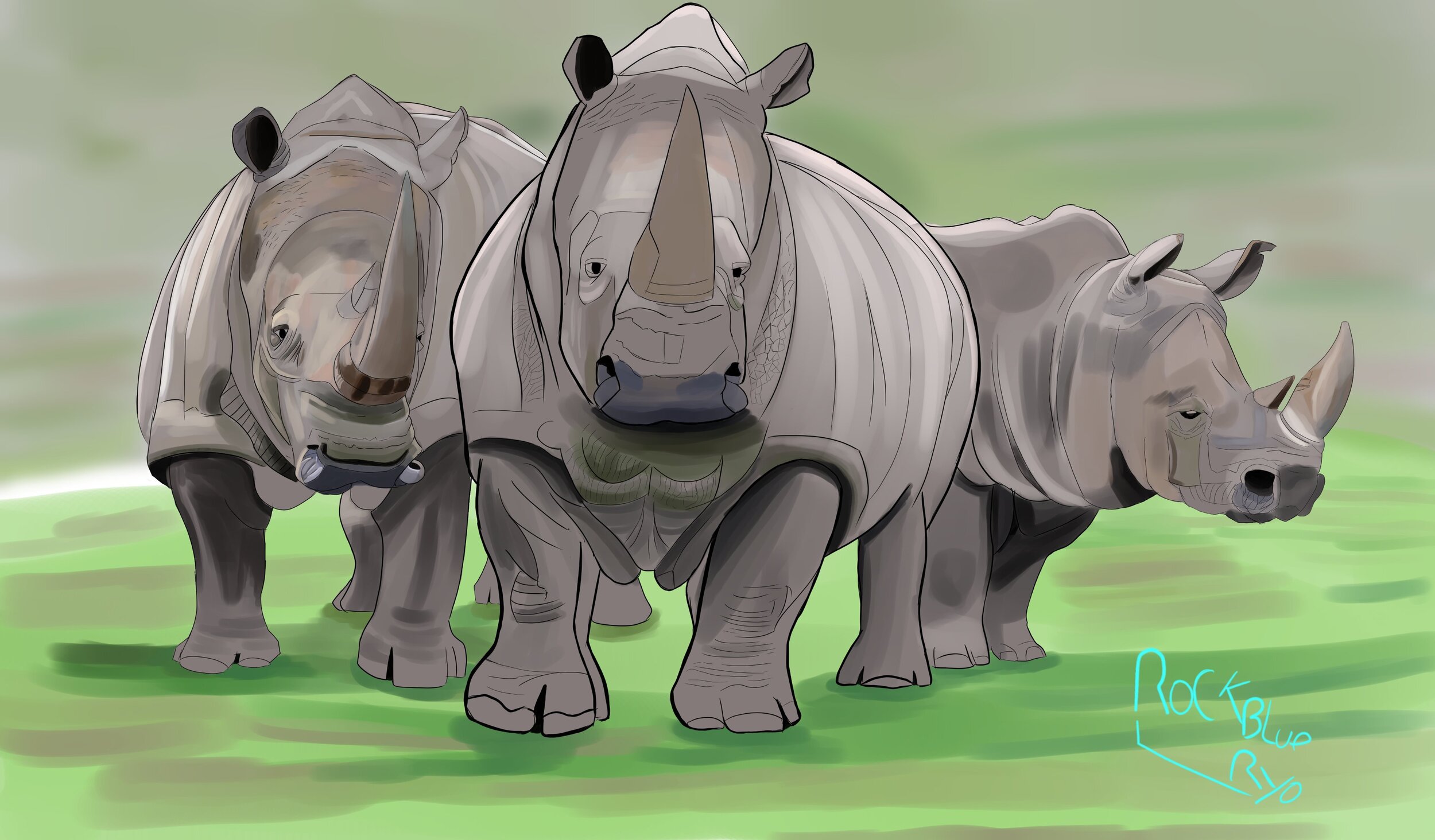 troupeau rhinoceros.jpg