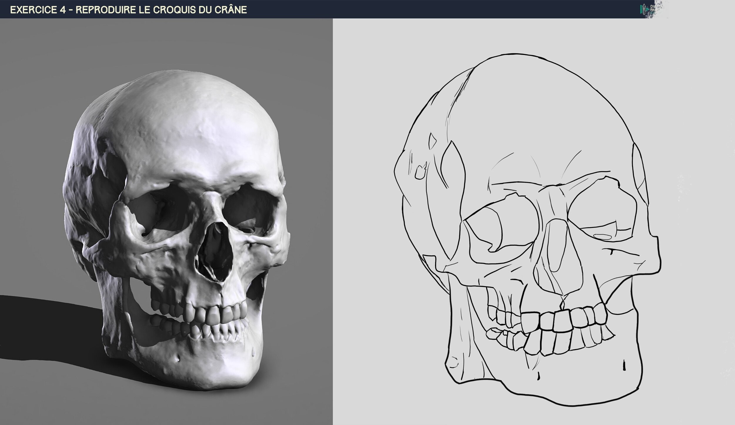 DPS-Prog-1-2-2-démo-crane-v1-croquis .jpg
