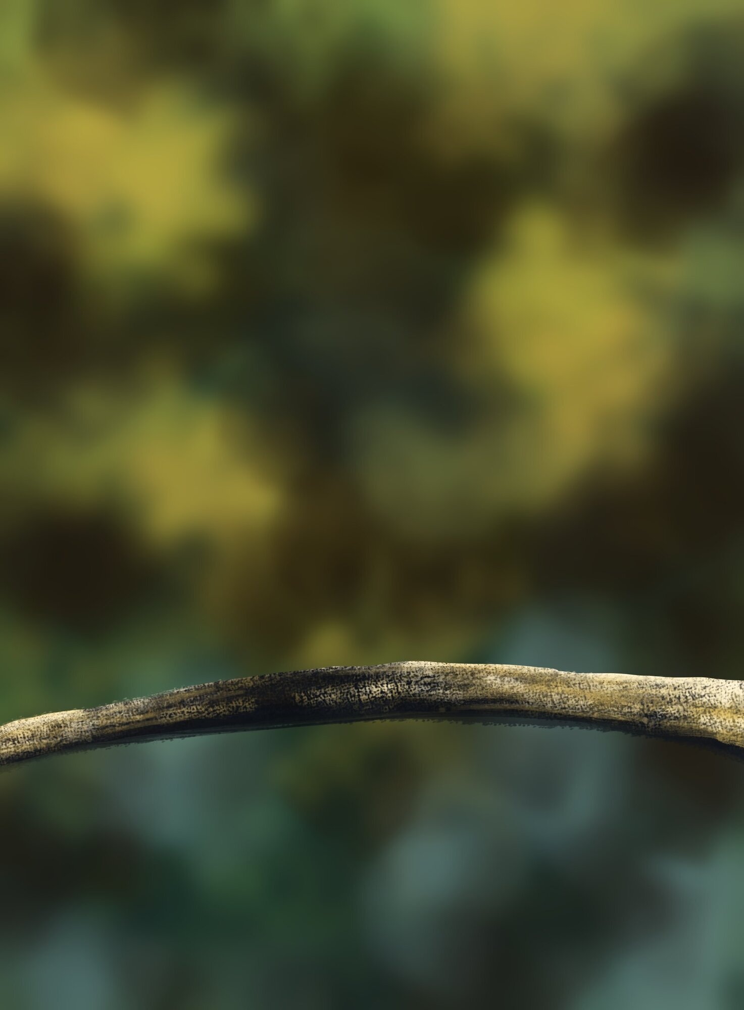 DPS Prog-1-1-Exercice5-Oiseau-Commencement.jpg