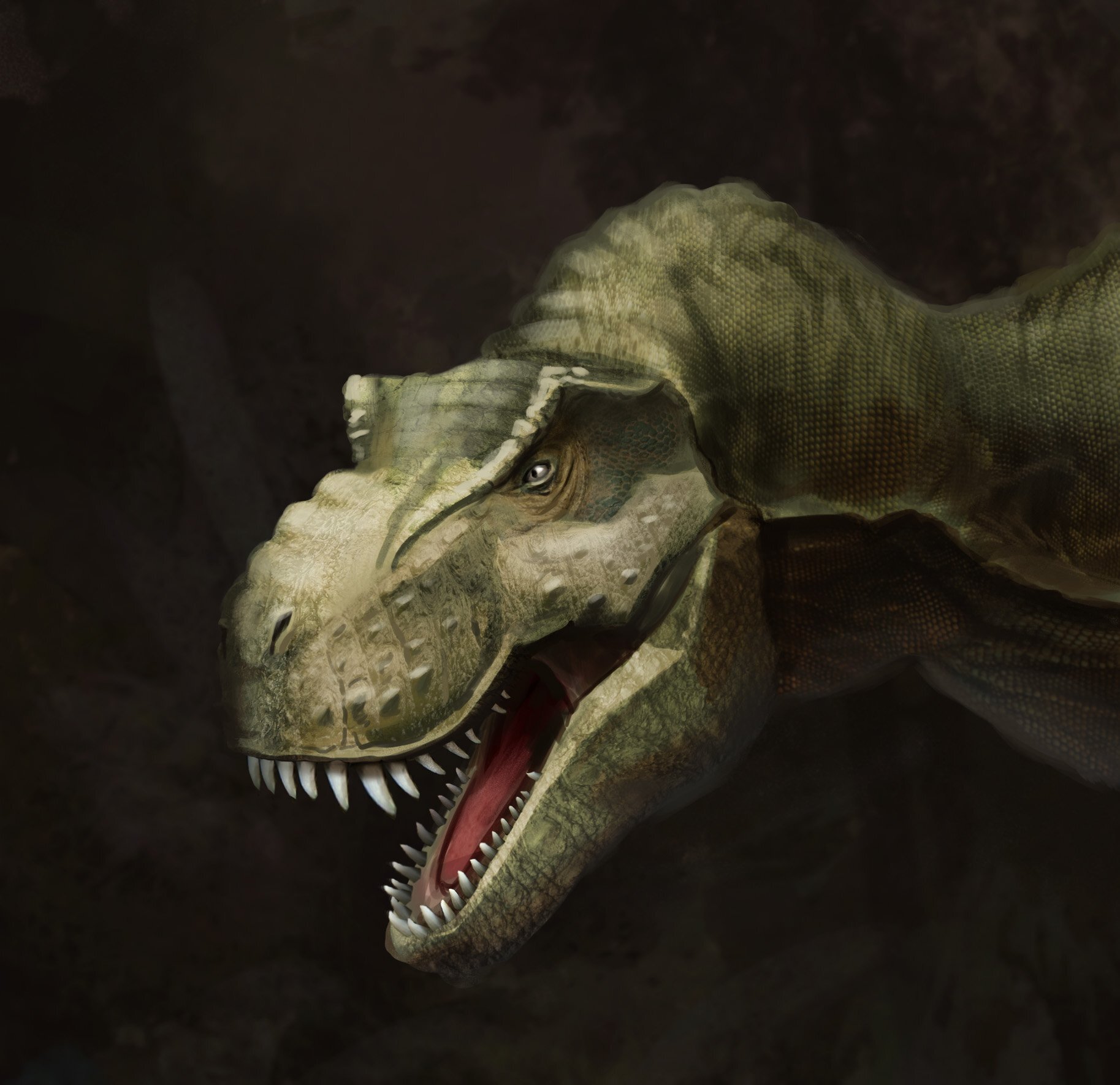 Dino02_Texture.jpg.78dba042ba181ed127c671d554f96b65.jpg