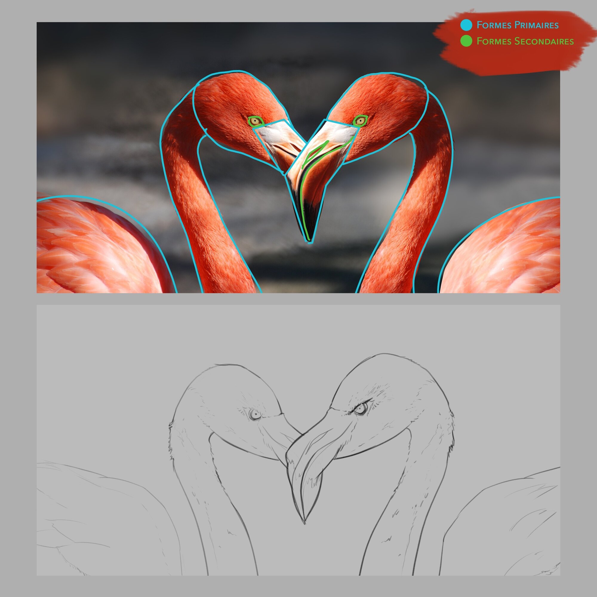 Exercice 1 - Photo 5.jpg