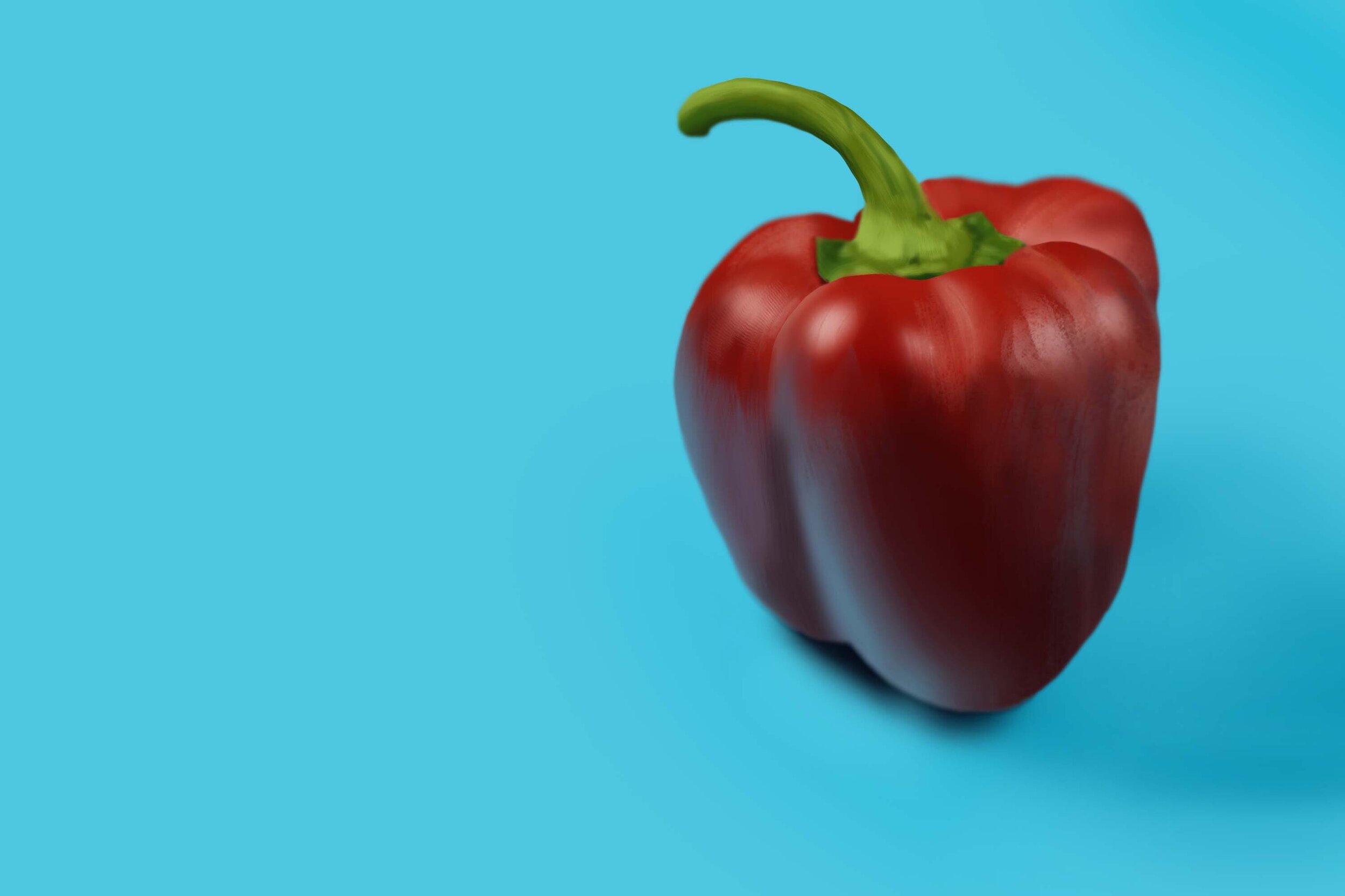 Exercice4-etude-photo1 copie.jpg