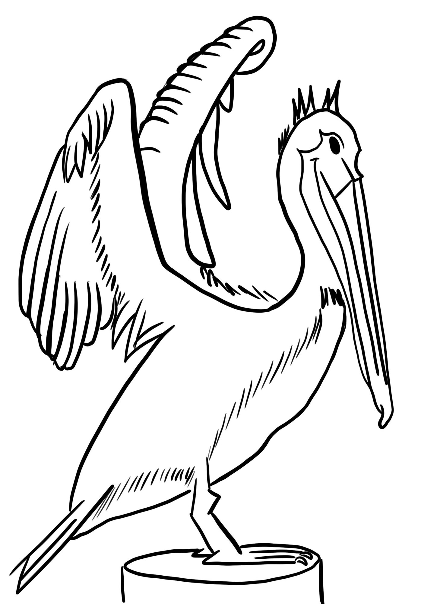 Croquis_Oiseau.jpg