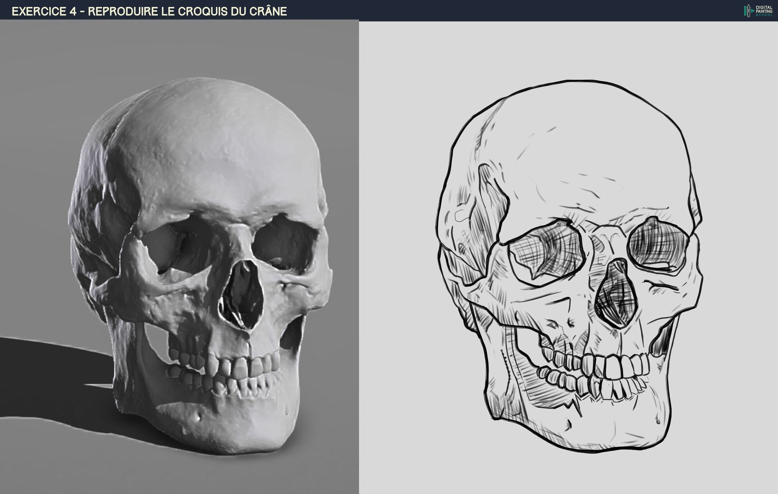 DPS-Prog-1-2-2-démo-crane-croquis fini.jpg