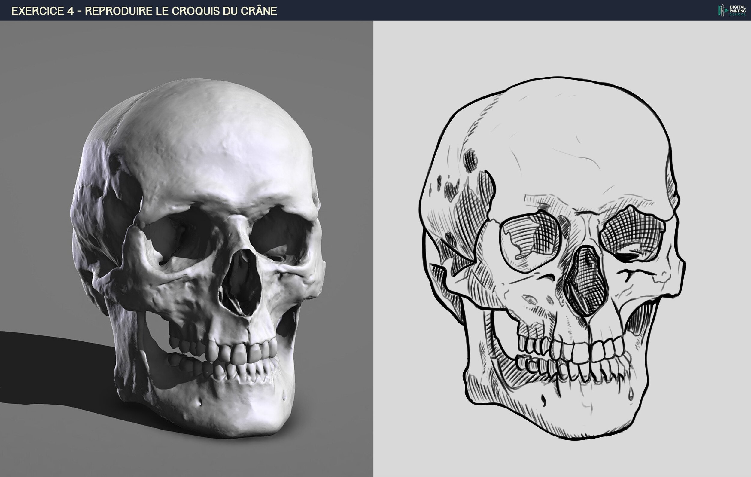 DPS-Prog-1-2-2-démo-crane-croquis khisanth.jpg