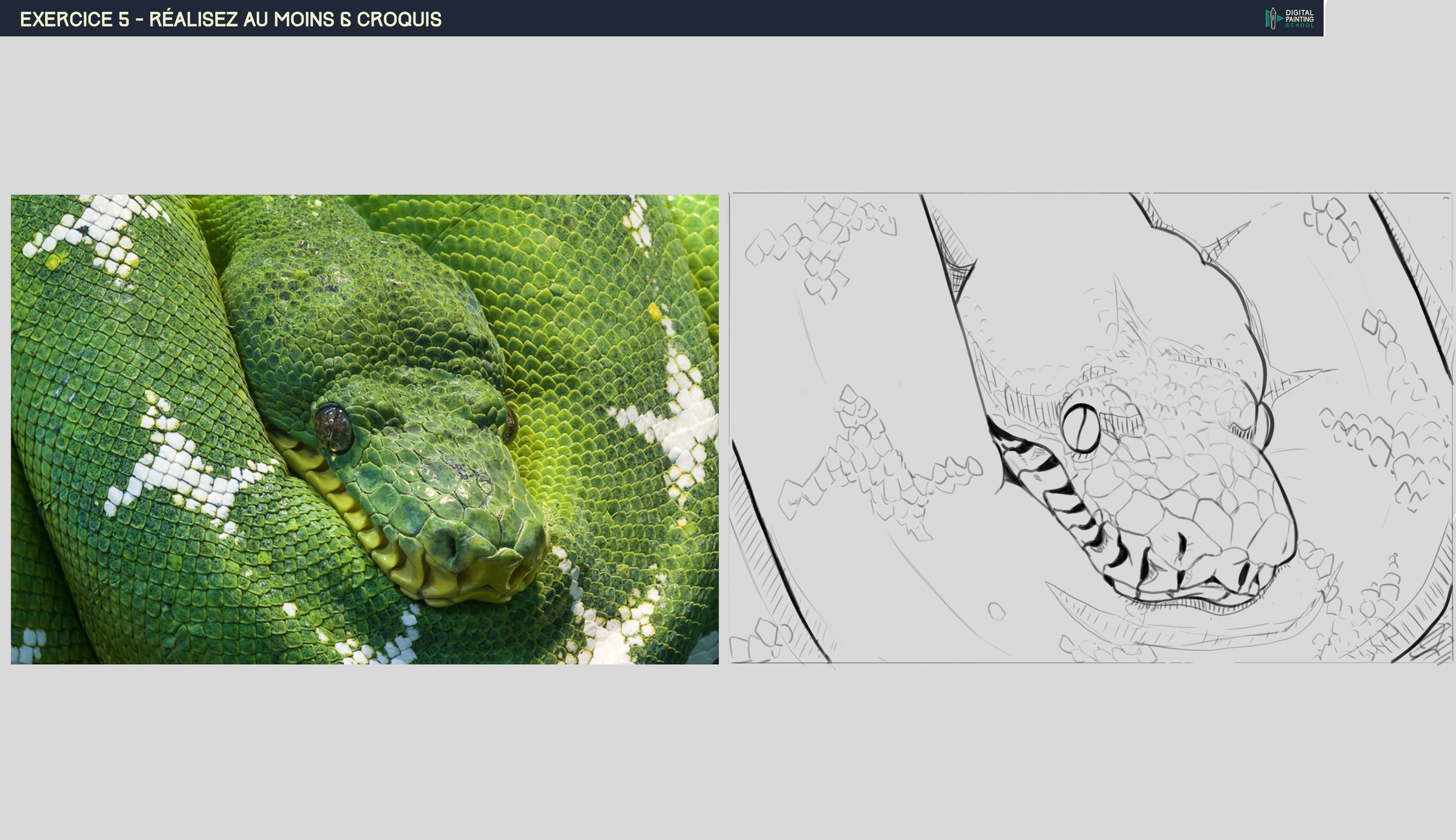 DPS-Prog-1-2-exercice5 autre2.jpg
