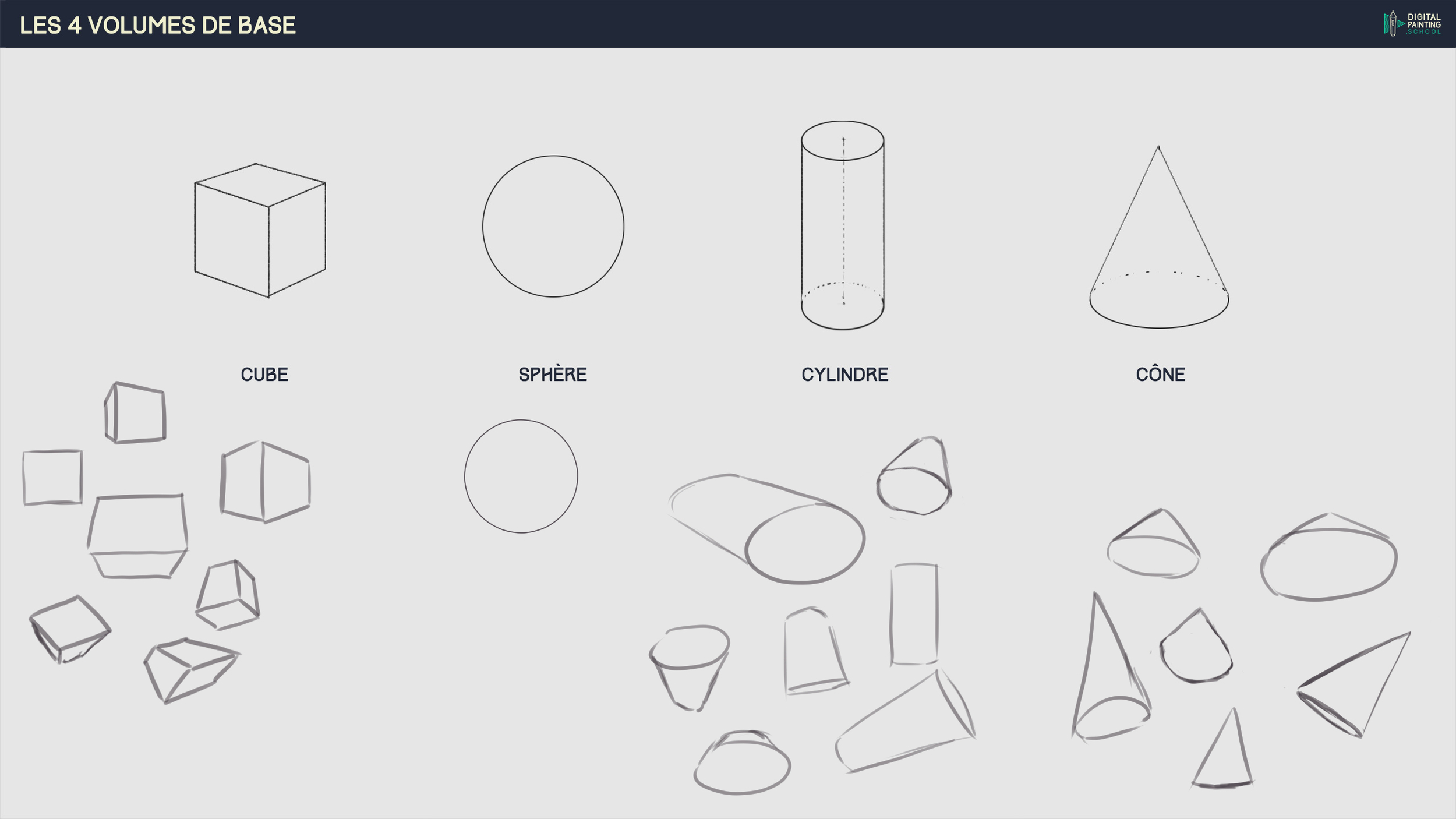 DPS-Prog-2-1-2b-formes-base e.jpg