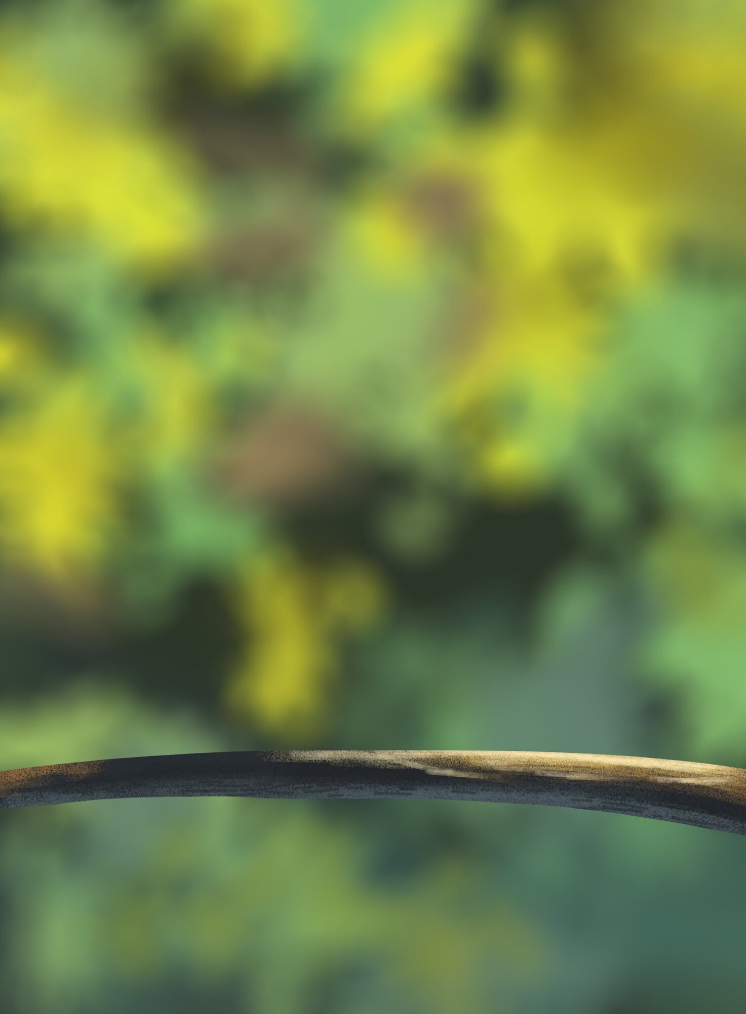 DPS Prog-1-1-Exercice5-Oiseau-Corrigé.jpg