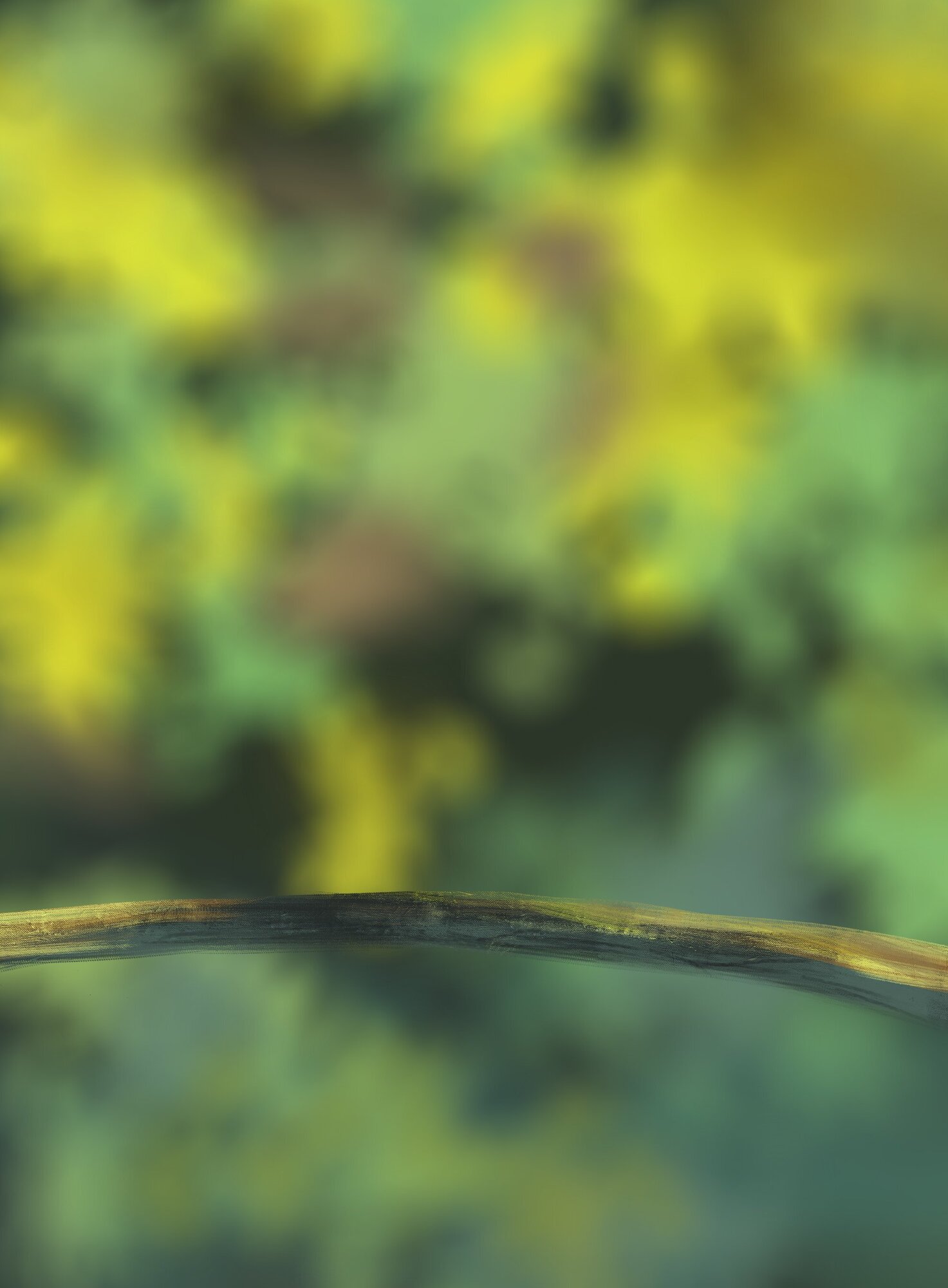 DPS Prog-1-1-Exercice5-Oiseau-fait.jpg